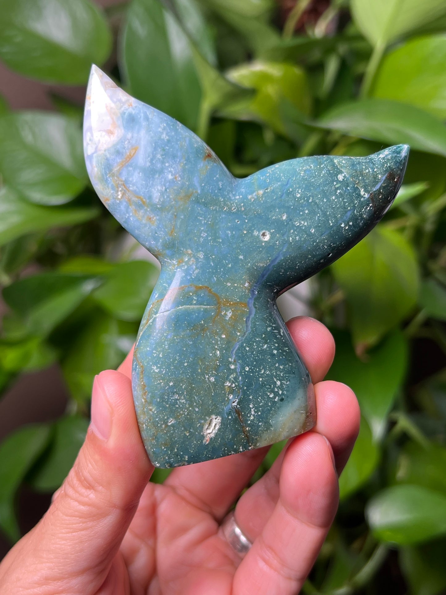 Blue Green Jasper Tail