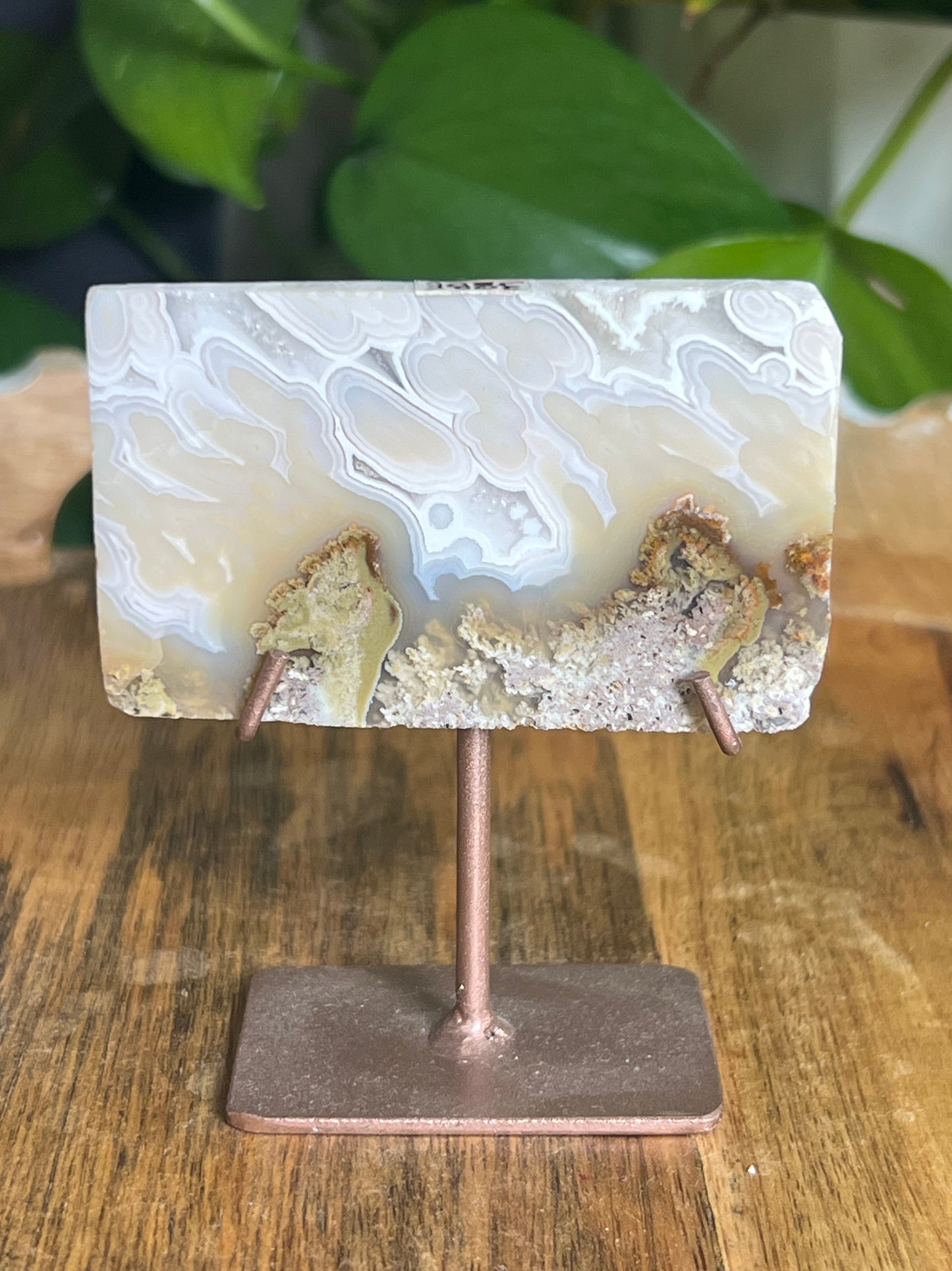 Scenic Moss Agate Mini Slab