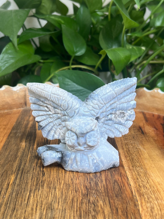 Blue Plume Agate Owl: XX