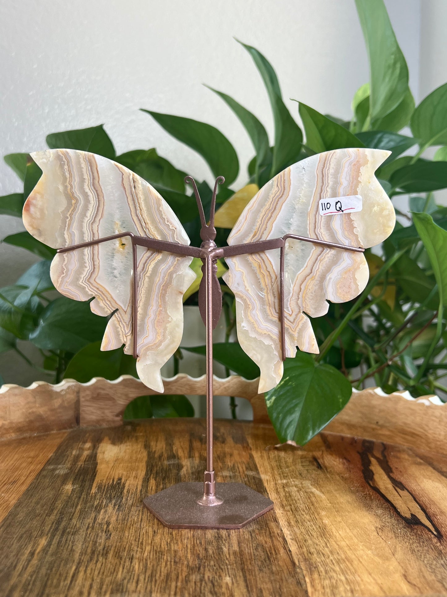 Yellow Crazy Lace Agate Wings Q