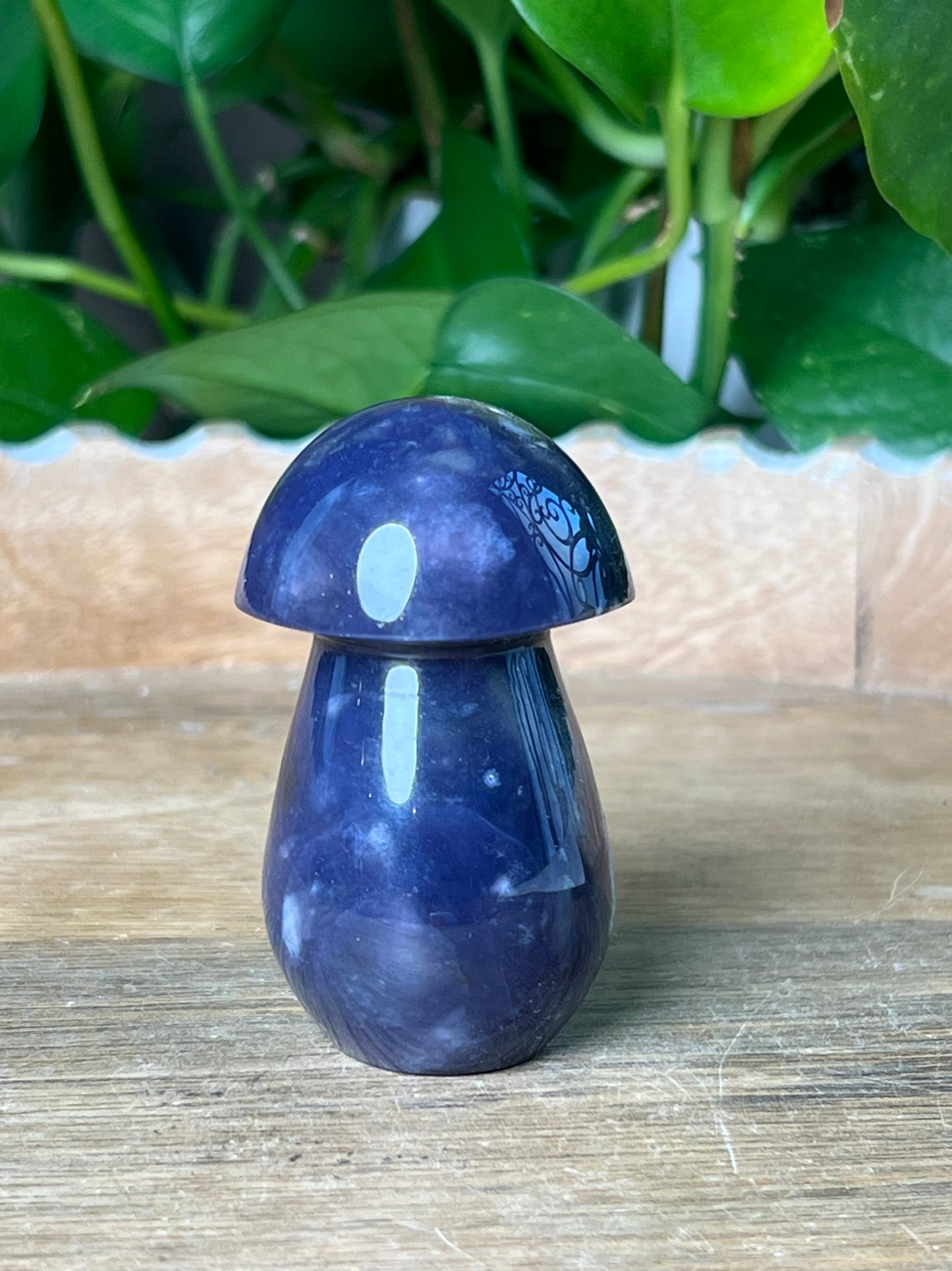Purple Chalcedony Mushroom: BG