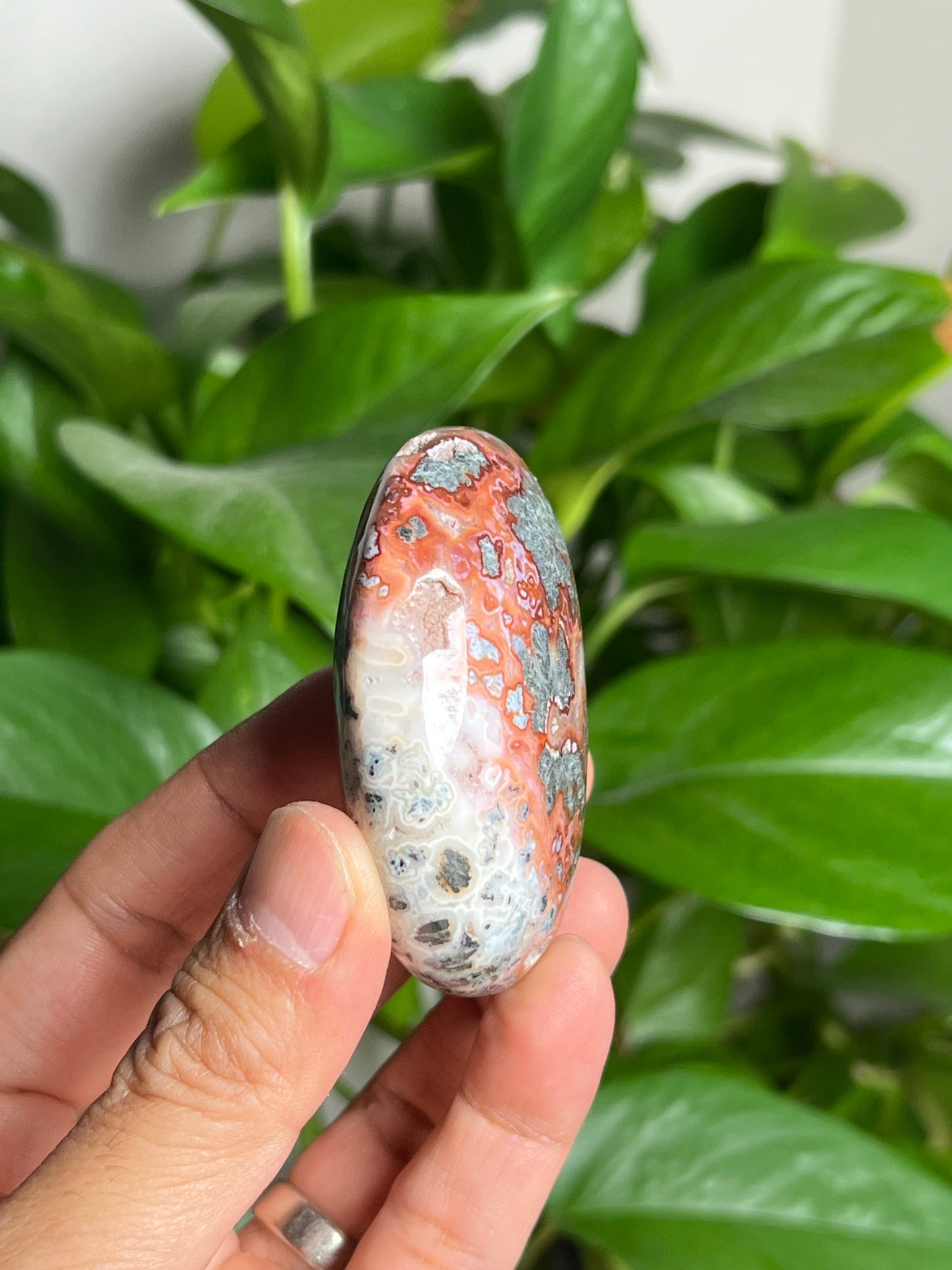 Marcasite Palmstone: Li