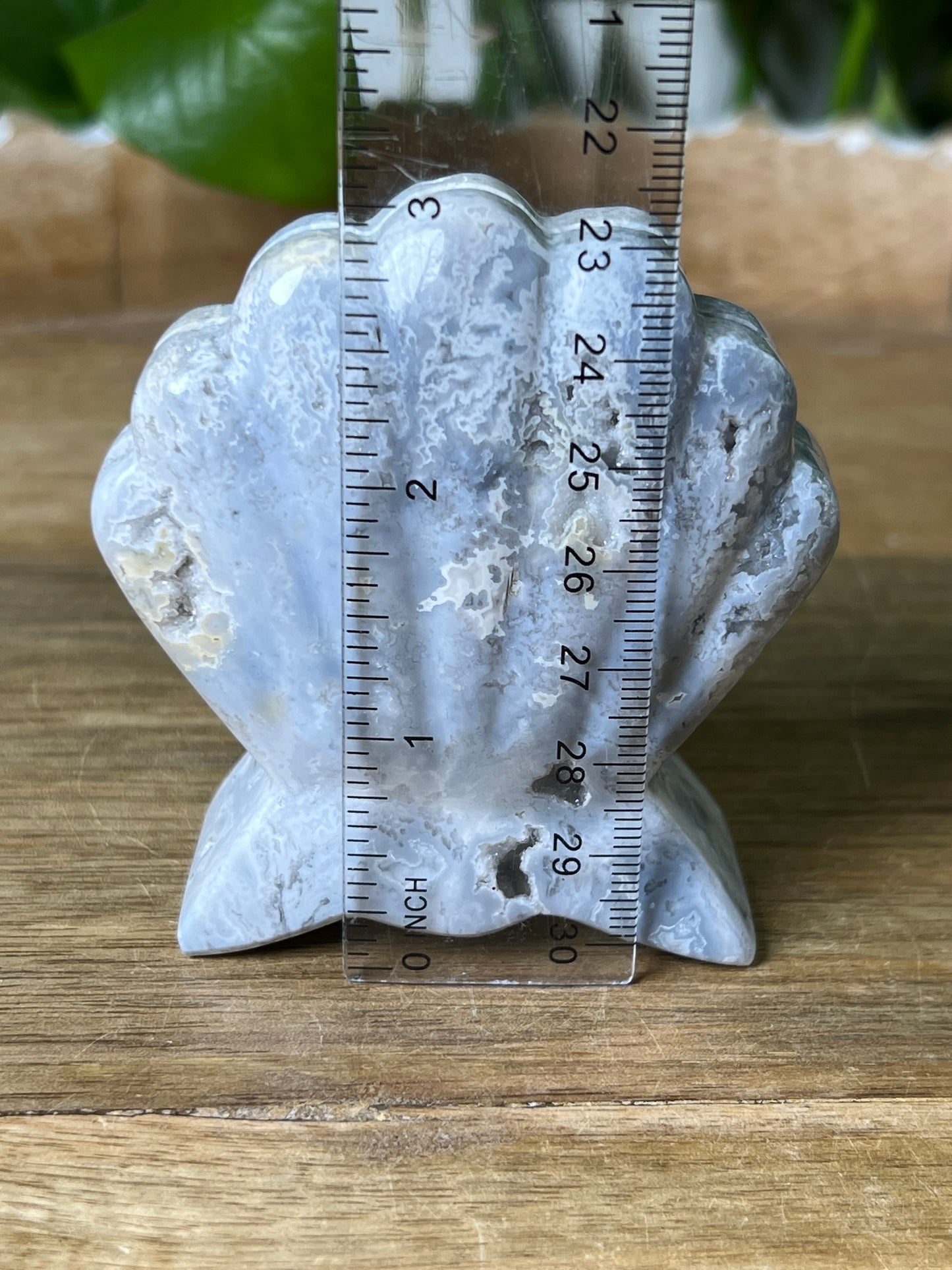 Blue Plume Agate Shell