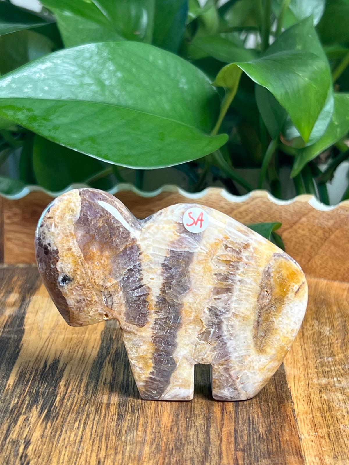 Indonesian Amethyst Buffalos