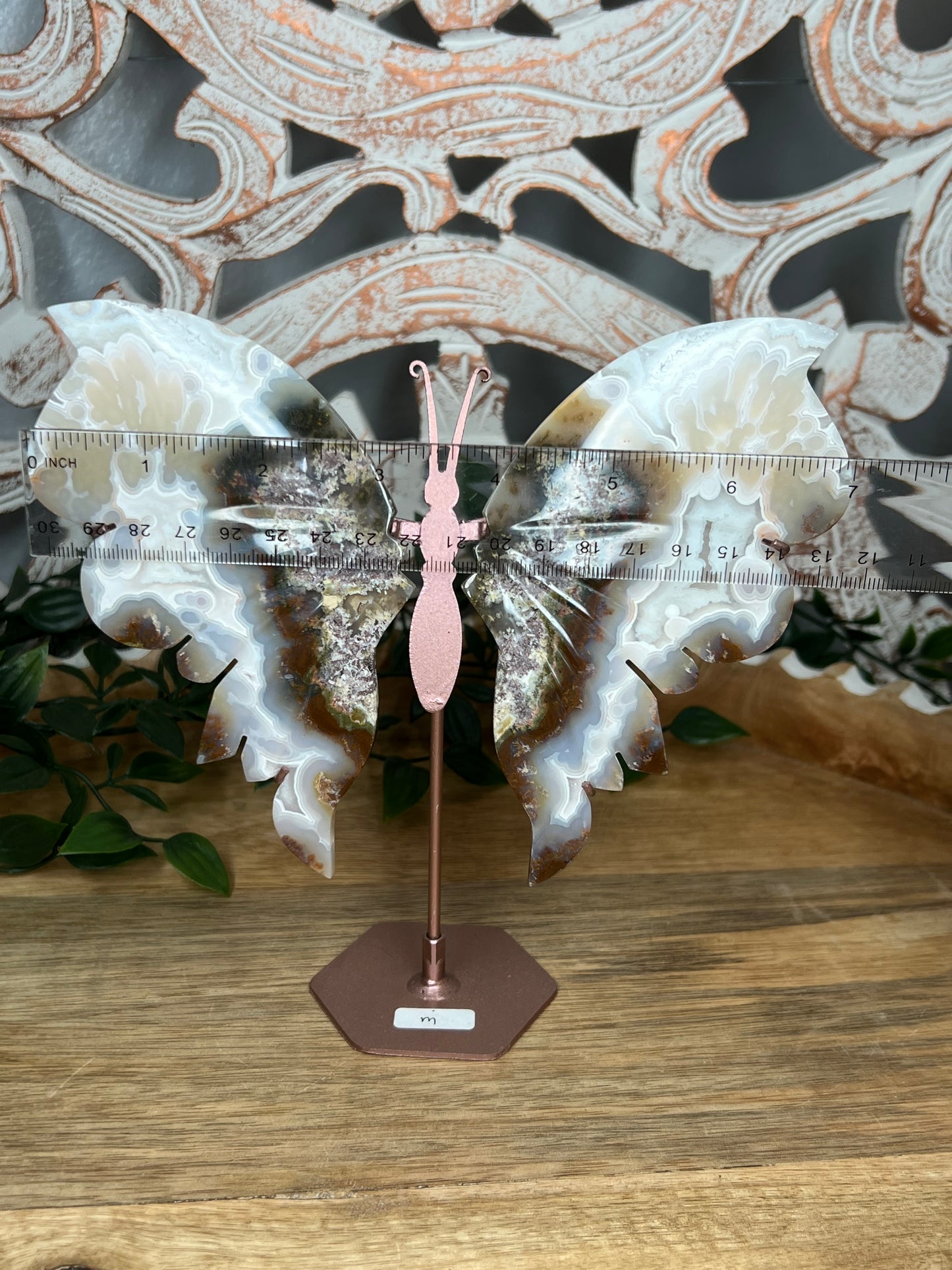 Scenic Moss Agate Wings