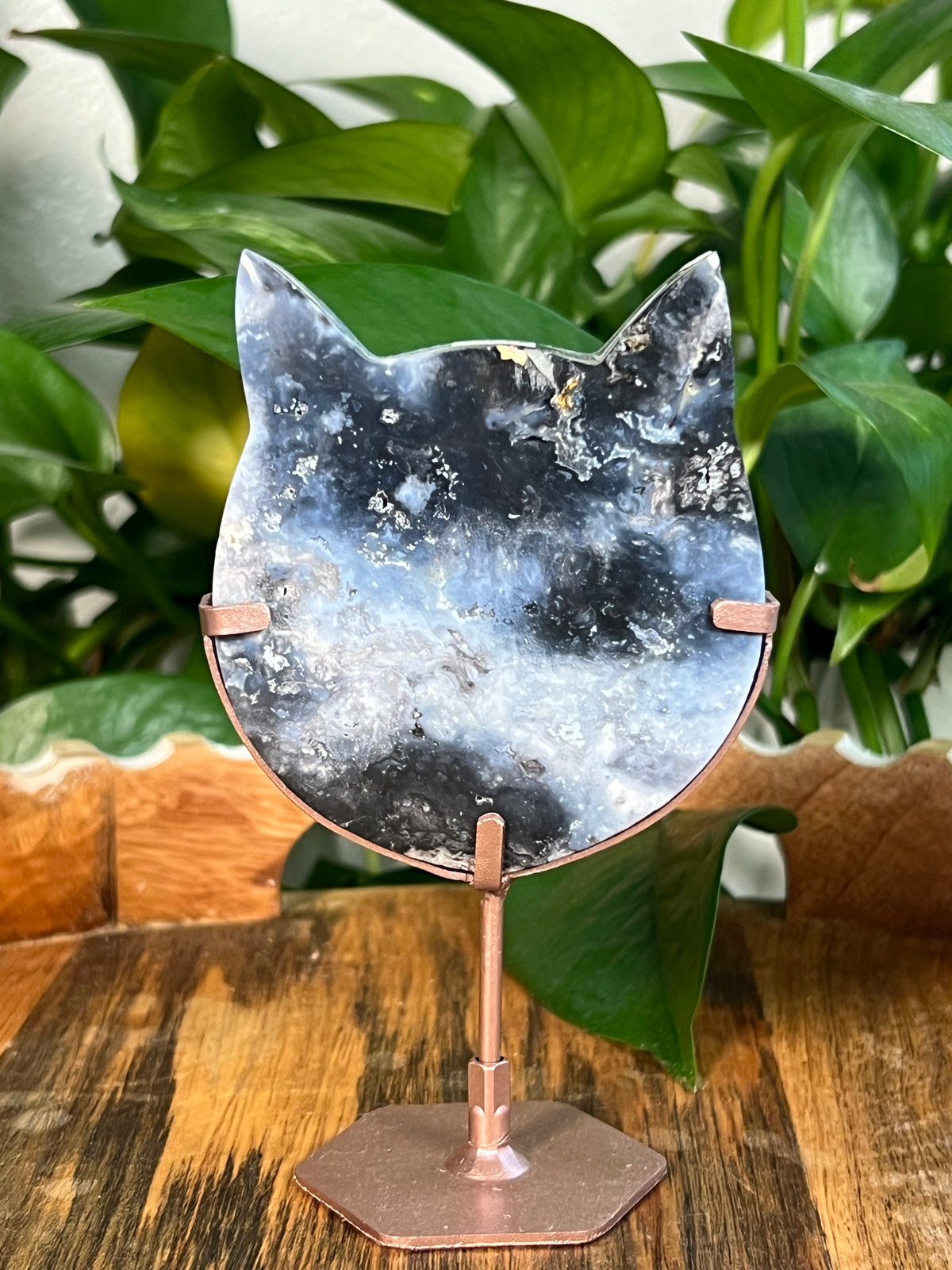Blue Plume Agate Cat Heads