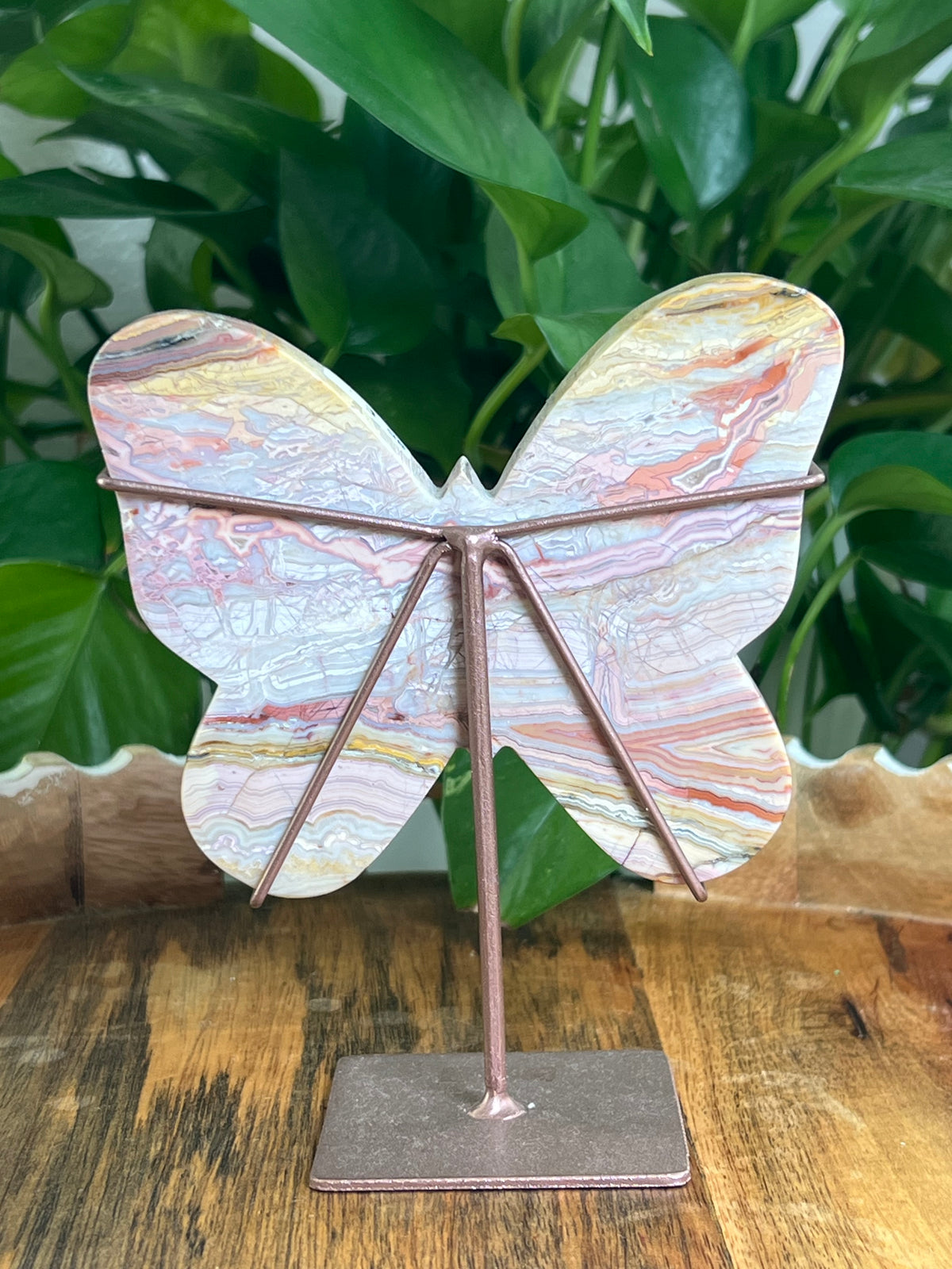 Crazy Lace Agate Butterfly: E