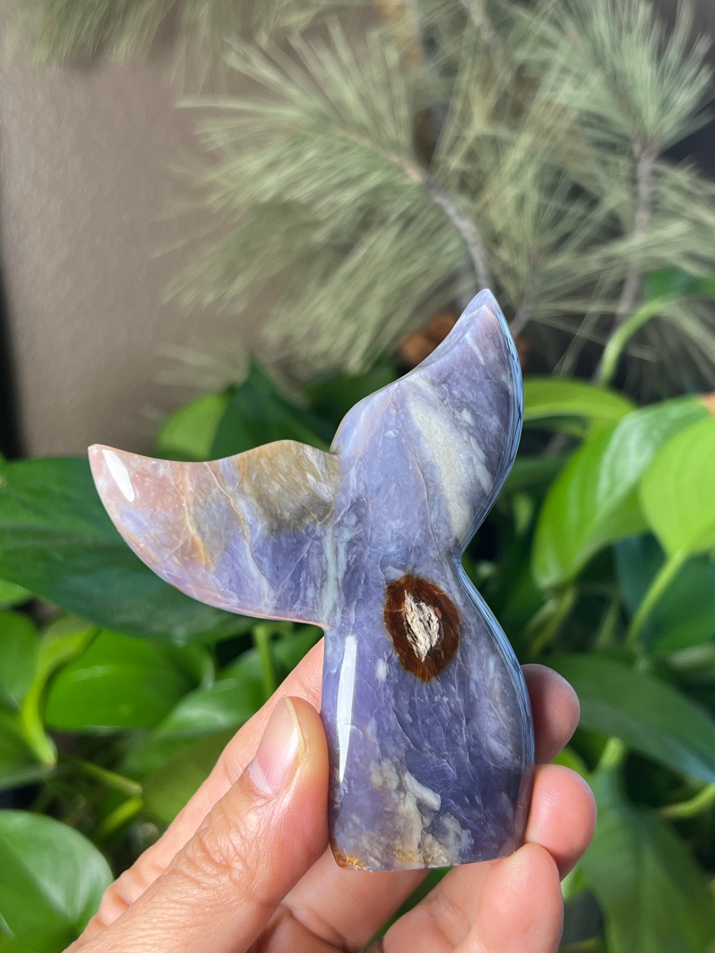 Purple Chalcedony Tail