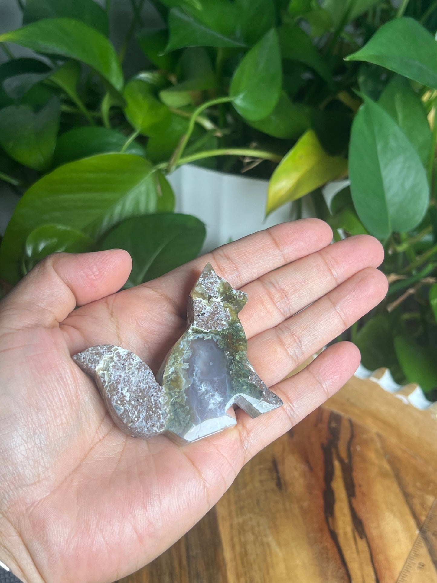 Scenic Moss Agate Fox PE