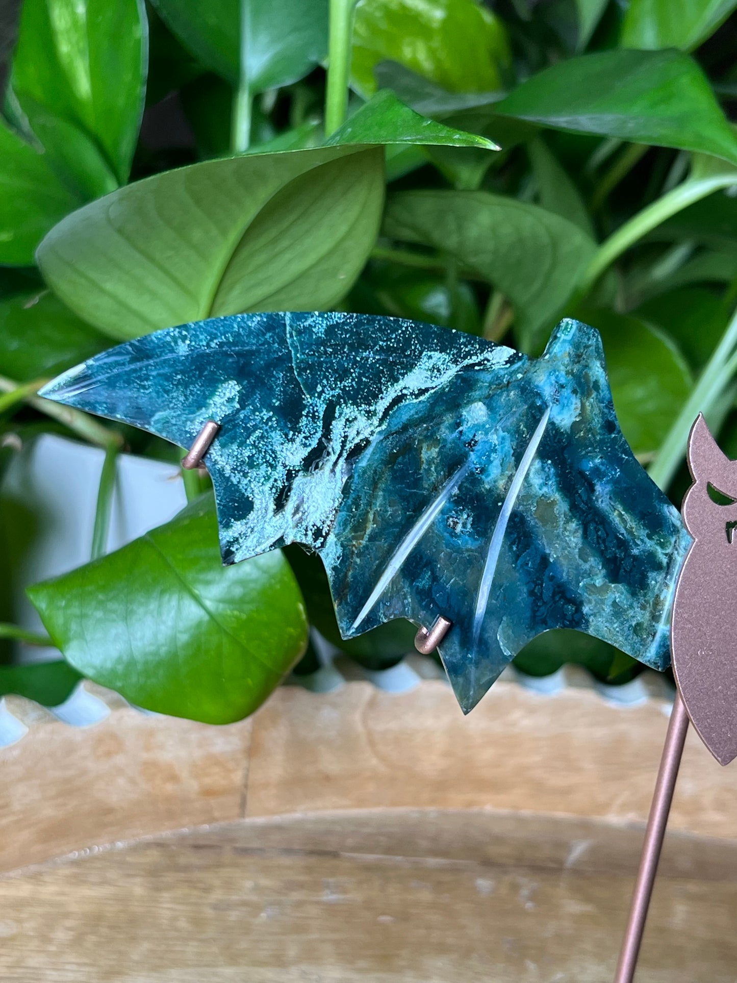 Blue Green Jasper Bat Wings
