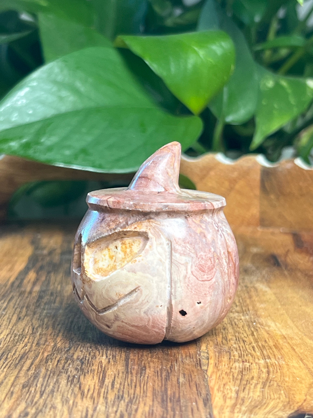 Pink Polycrome Pumpkin: C