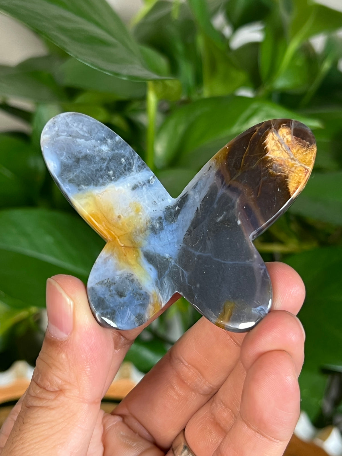 River Jasper 3D Butterflies