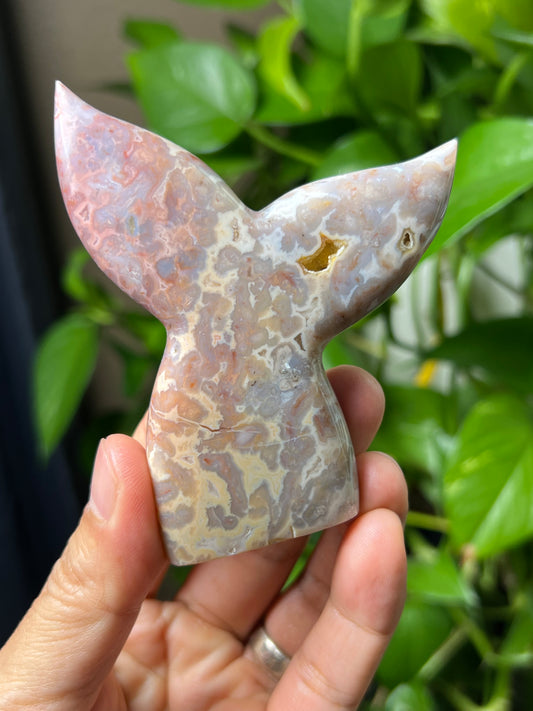 Sumatra Plume Agate Tail