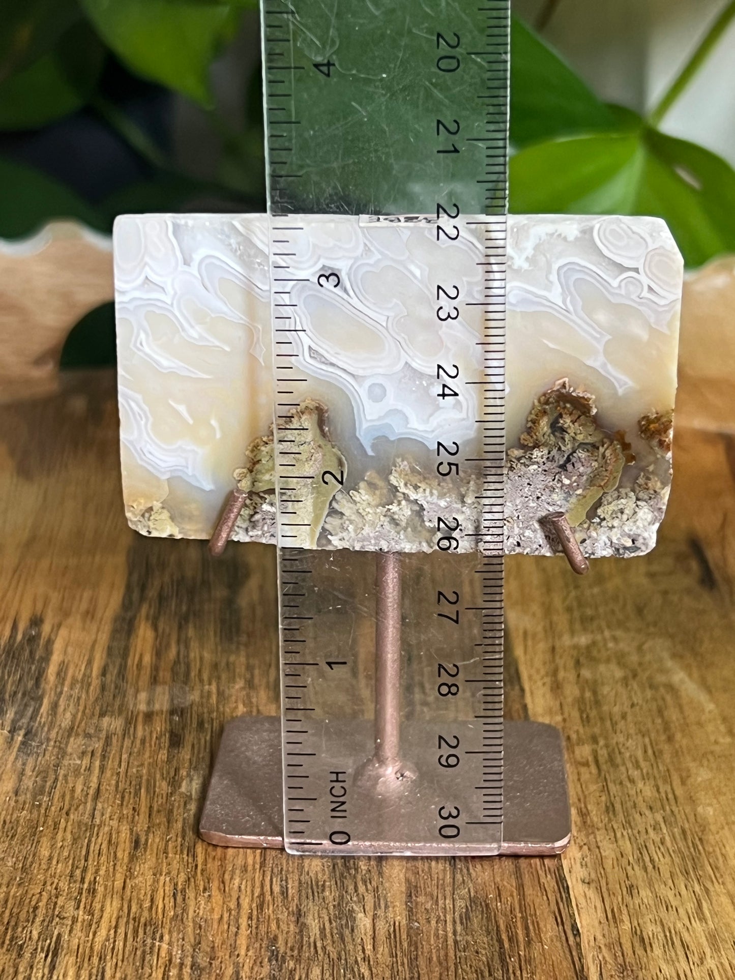 Scenic Moss Agate Mini Slab