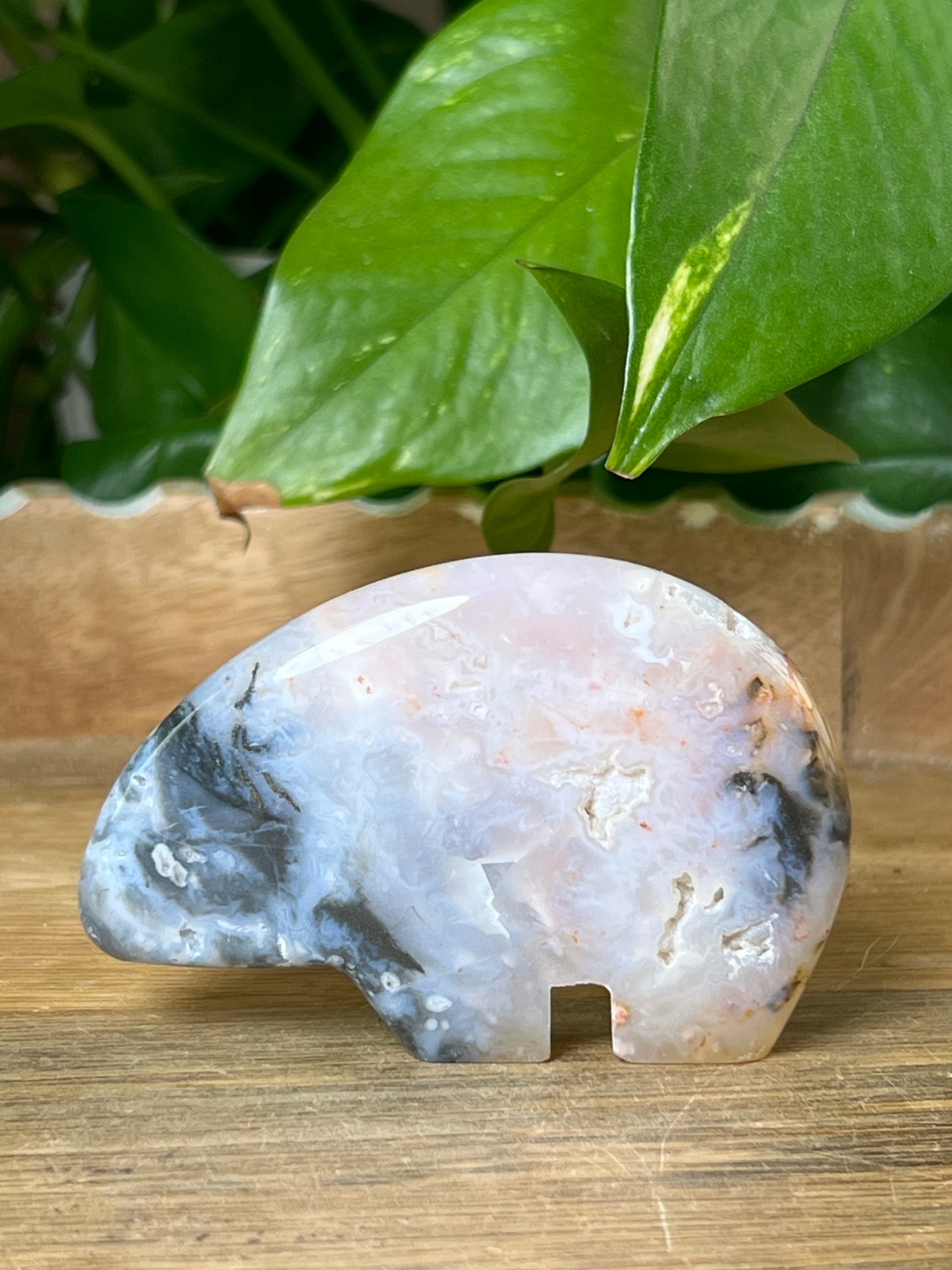 Rainbow Plume Agate Bear