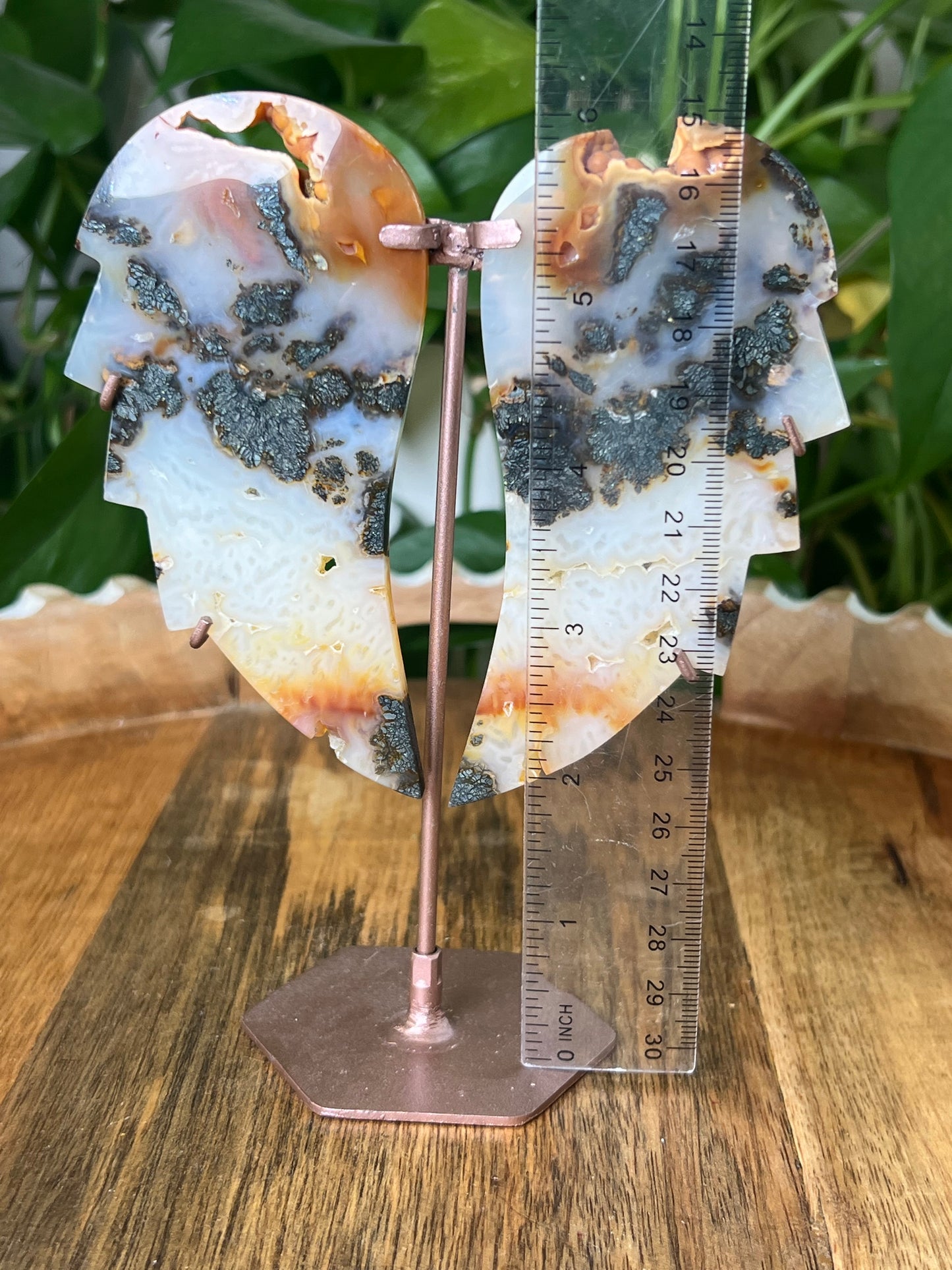 Marcasite Wings