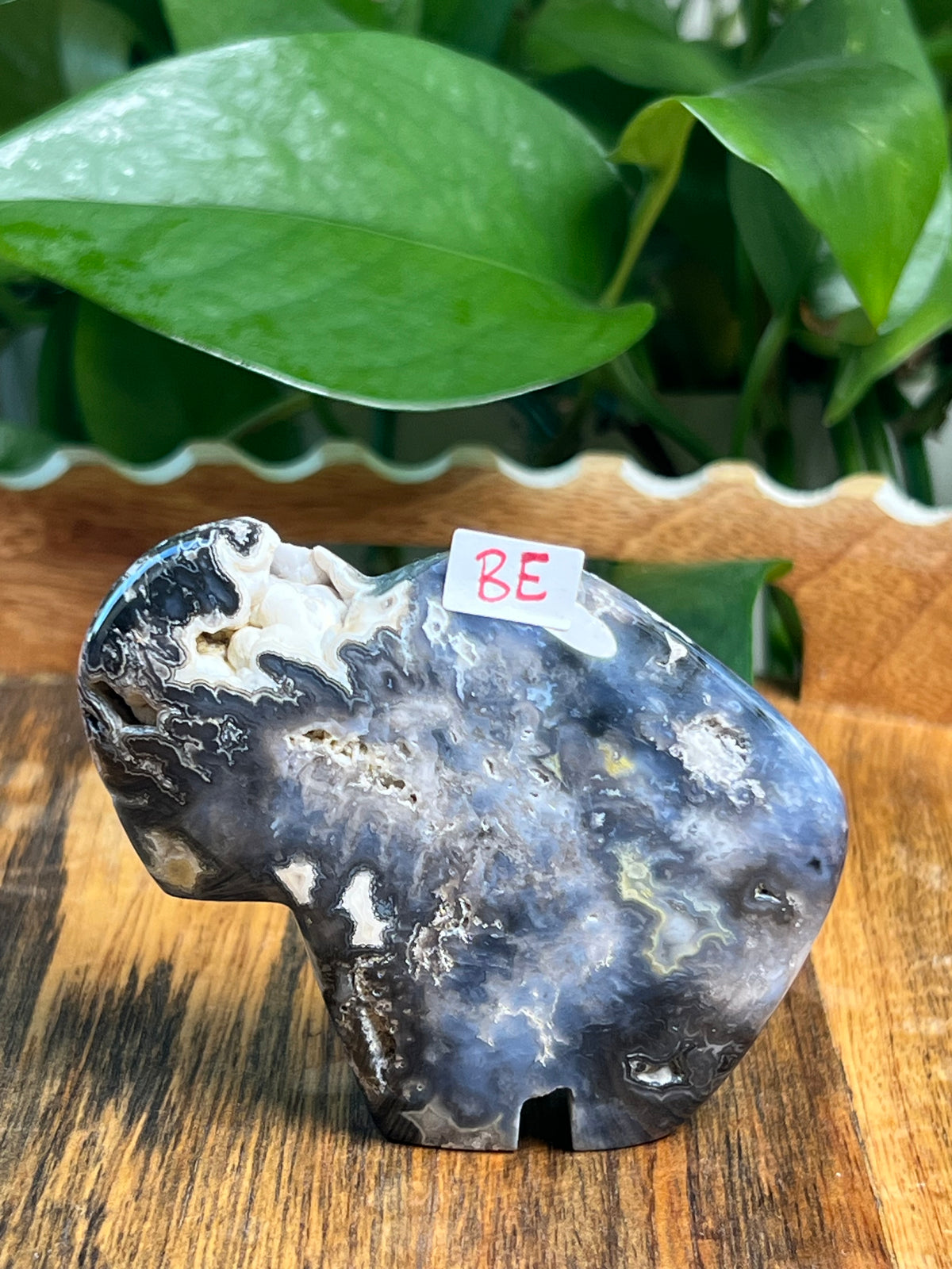 Blue Plume Agate Buffalos