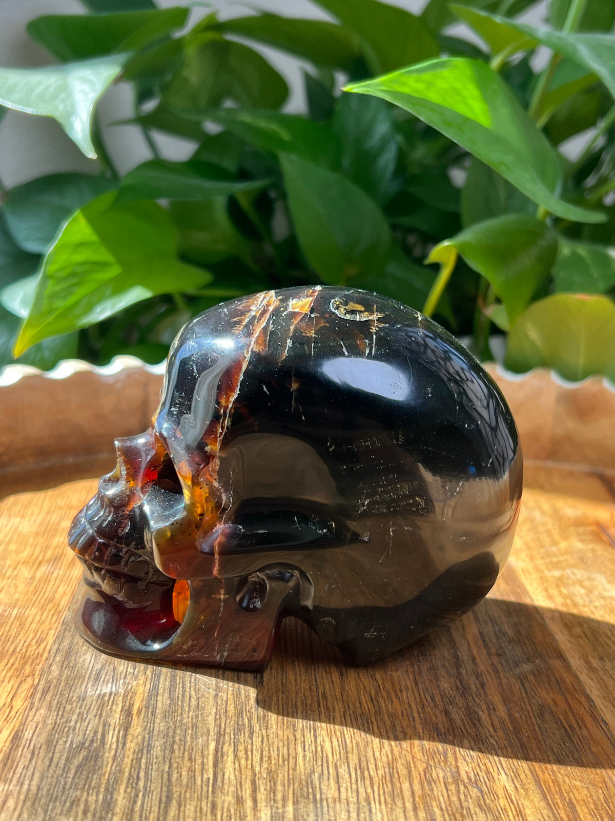 Blue Amber Skull: NB