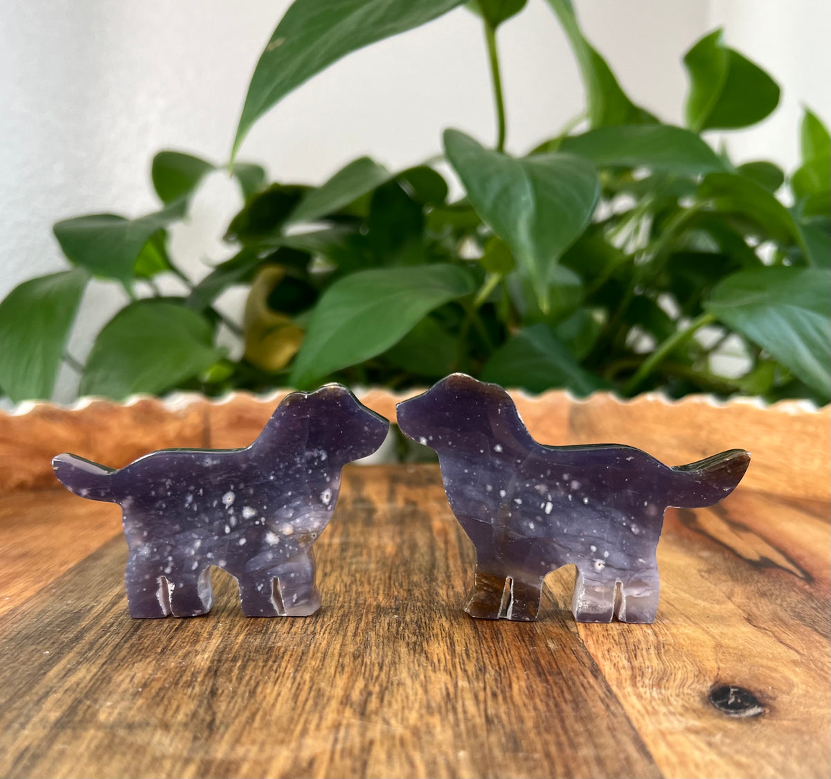 Purple Chalcedony Dogs