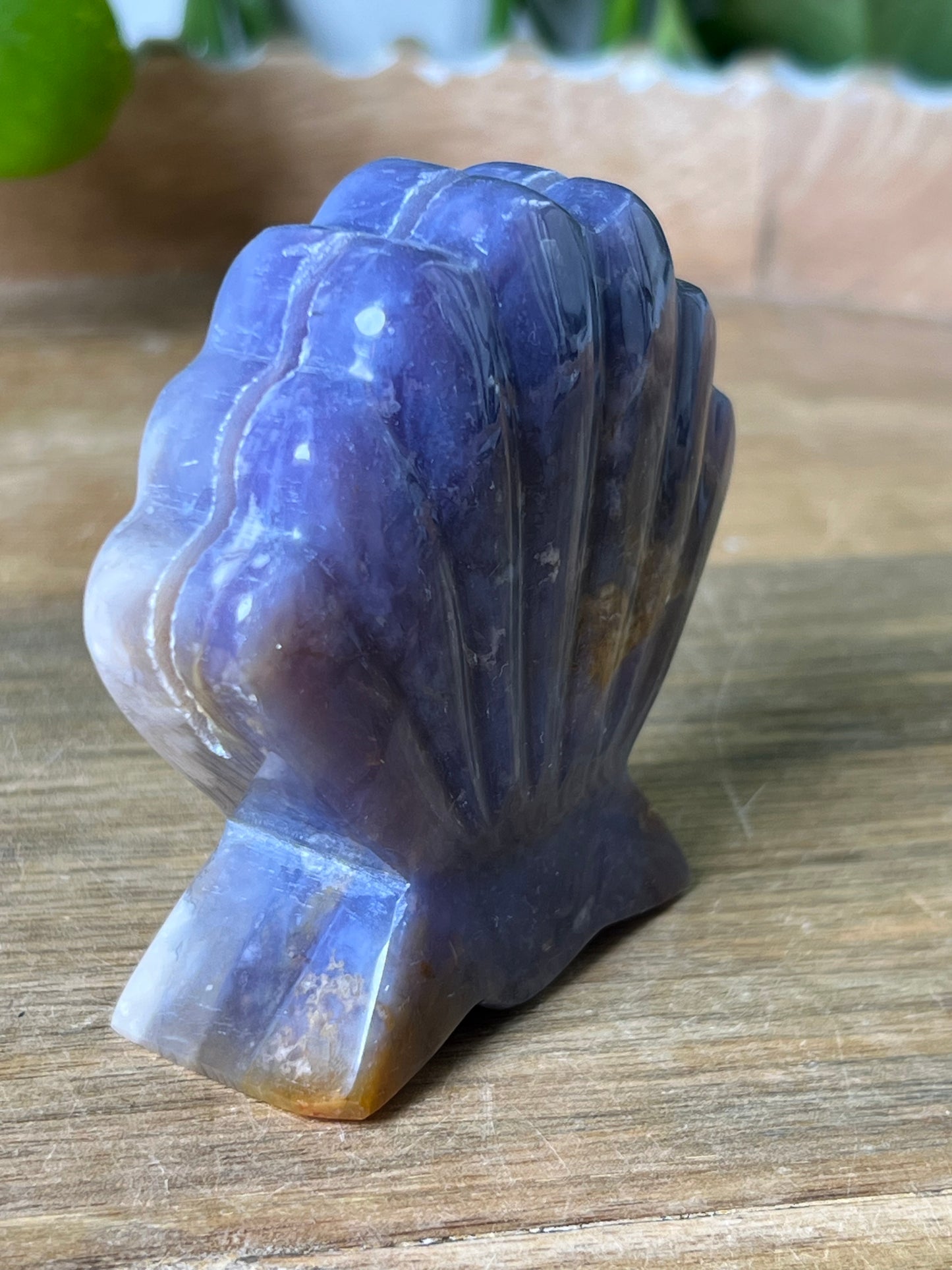 Purple Chalcedony Shell