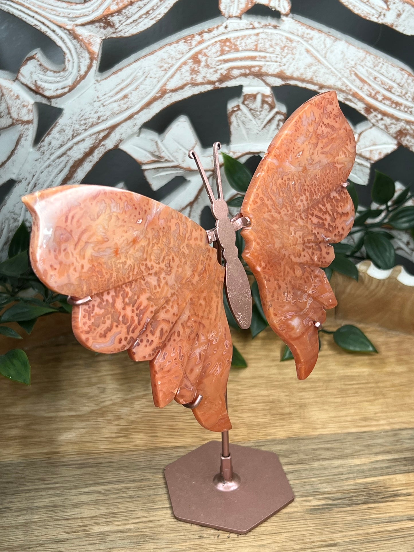 Carnelian Wings