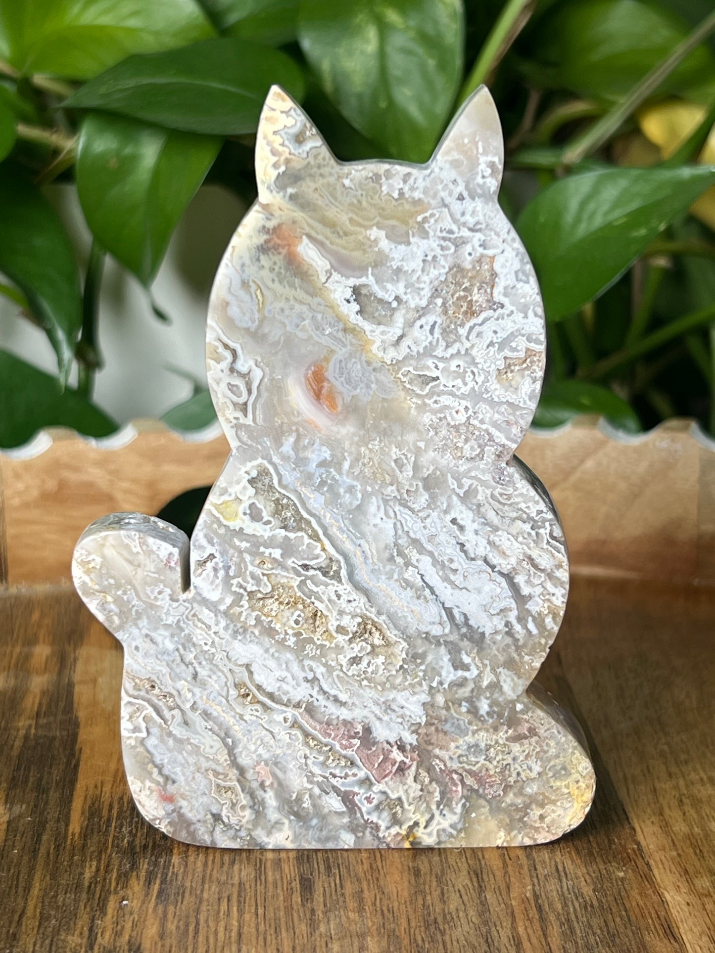 Sumatra Plume Agate Cat