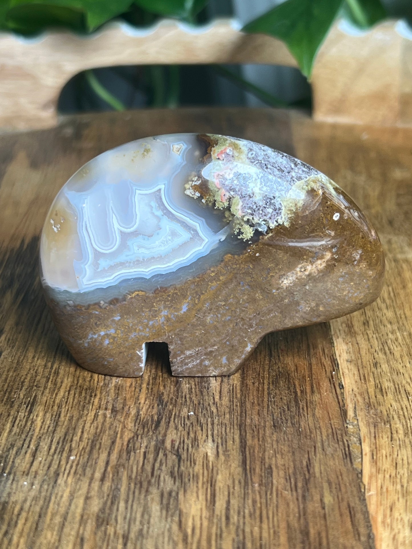Scenic Moss Agate Bear Bi