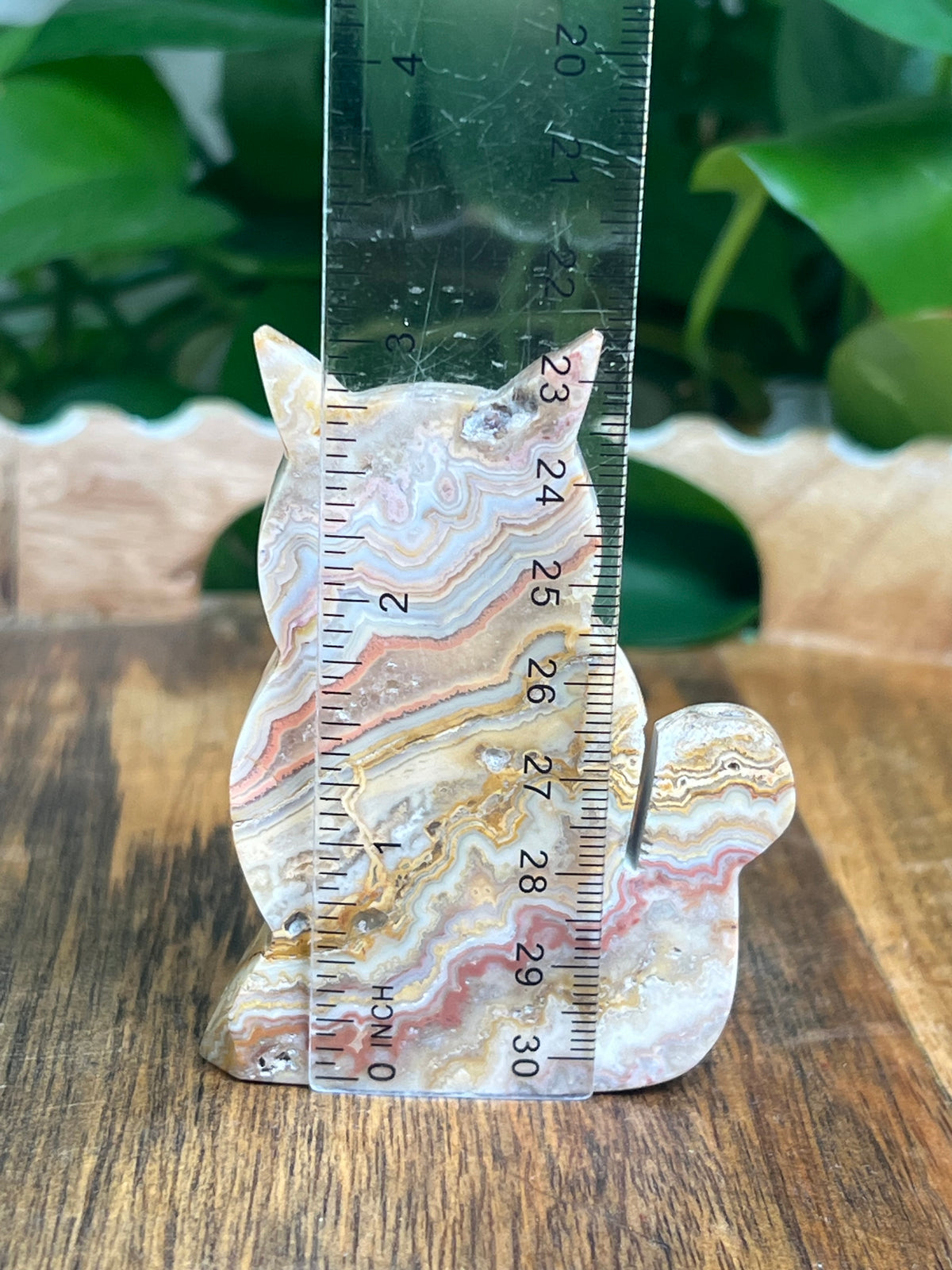 Crazy Lace Agate Cat: QE