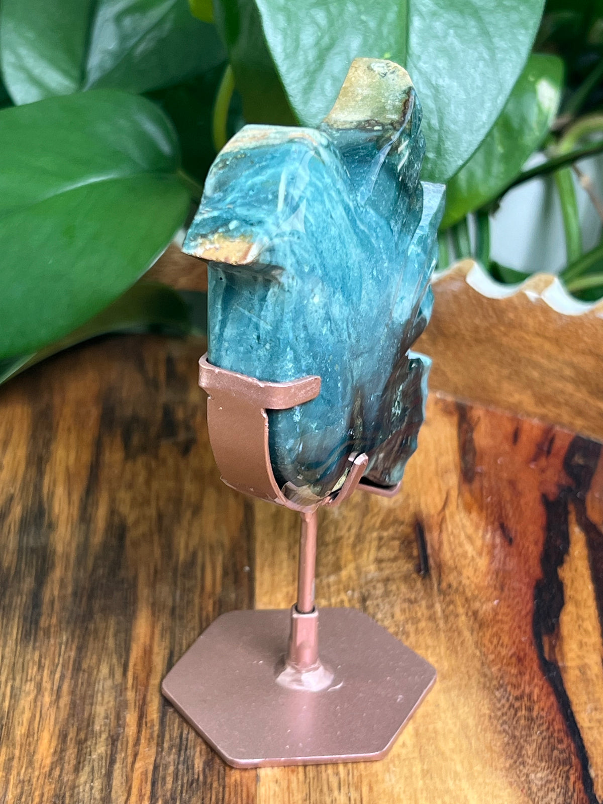 Blue Green Jasper Bird: RK