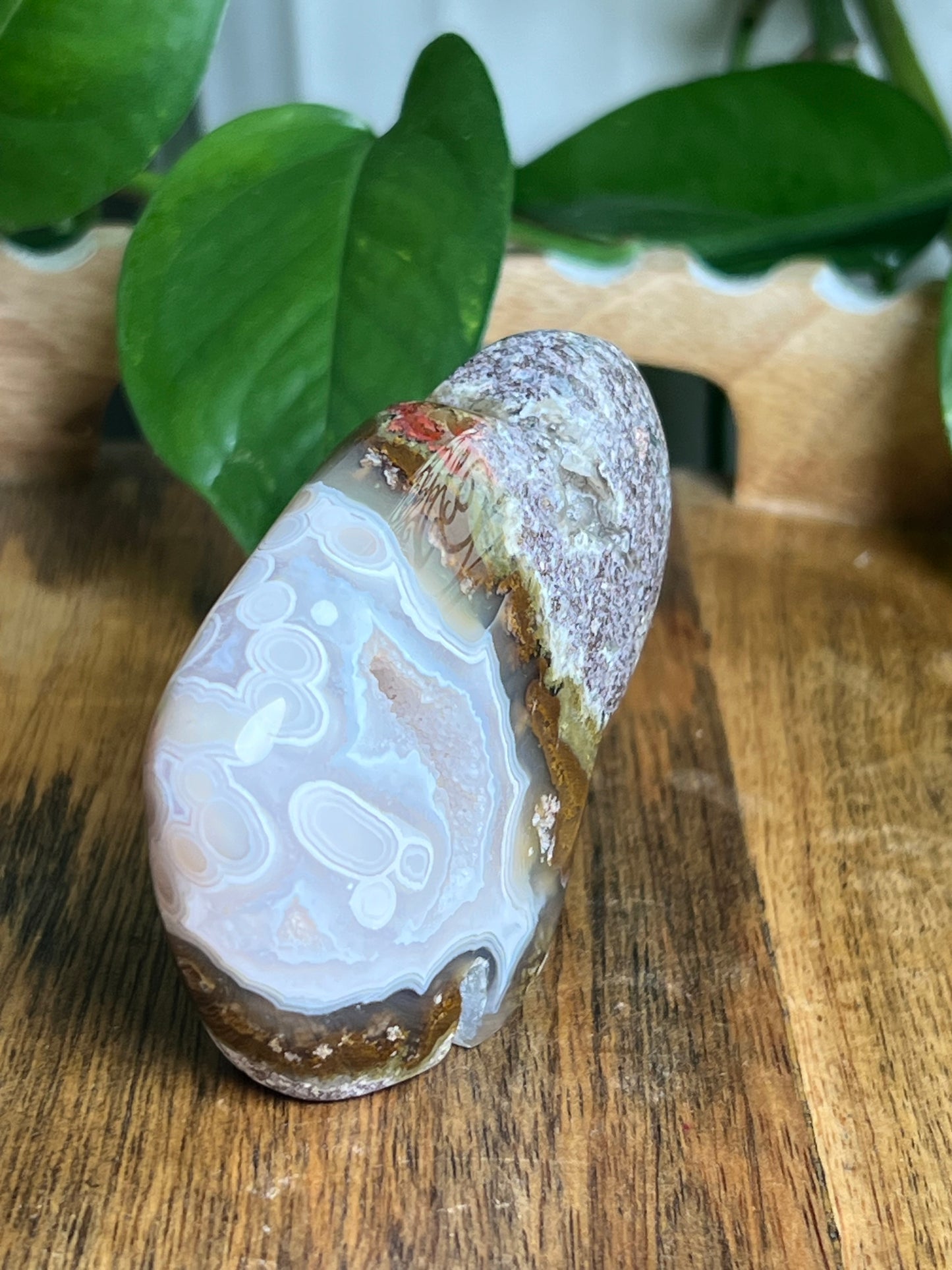 Scenic Moss Agate Buffalo N