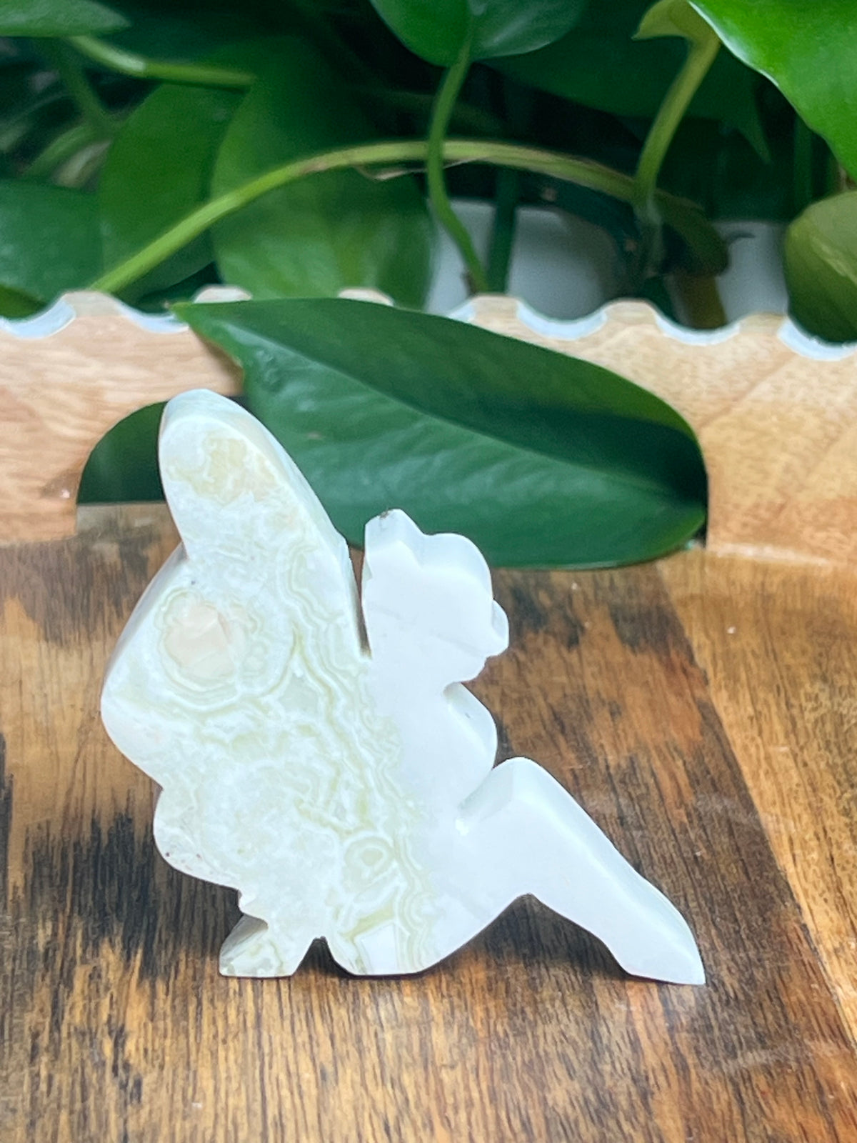 Kiwi Jasper Pixie Fairy: C