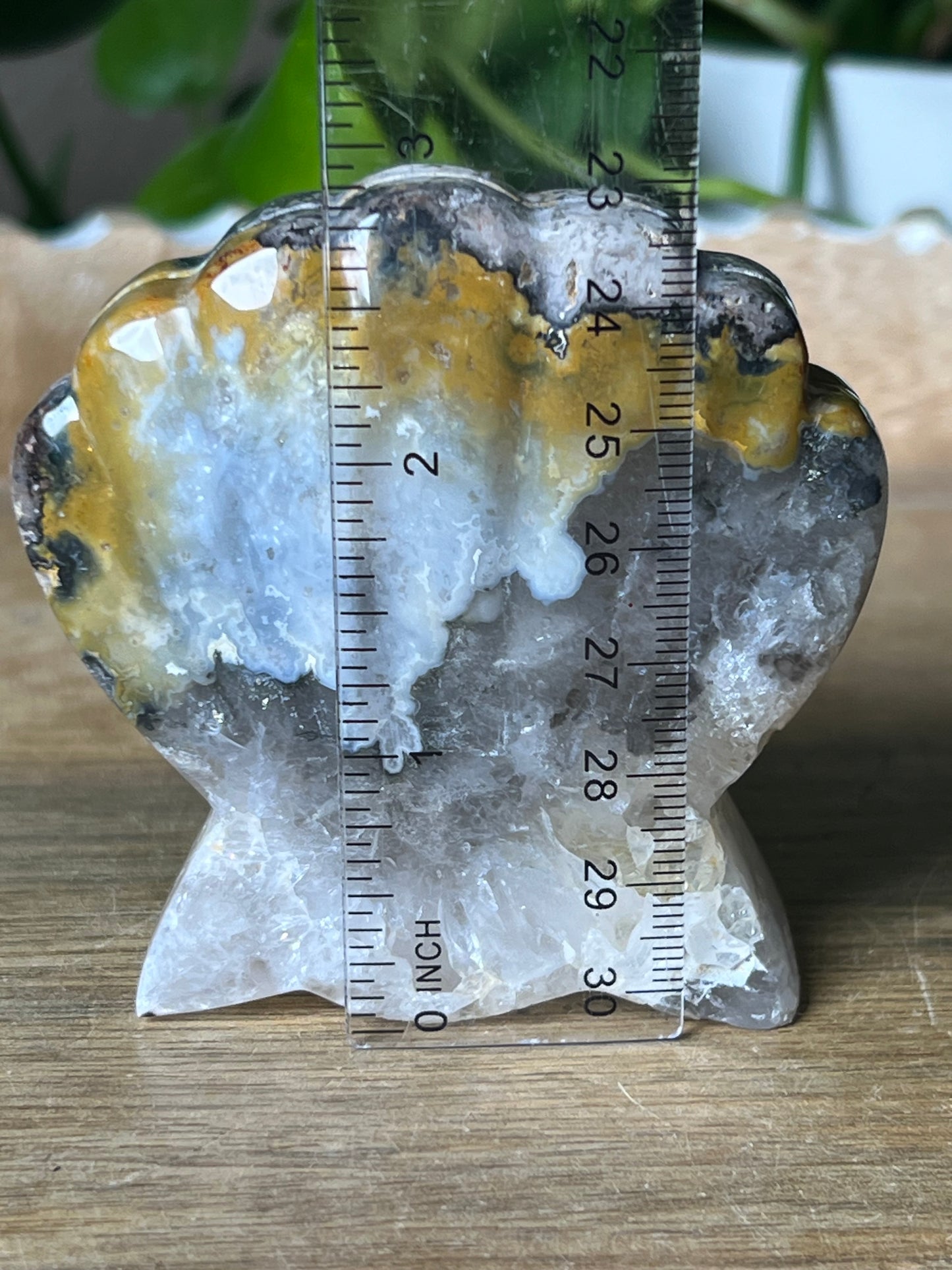 Brecciated Jasper Shell