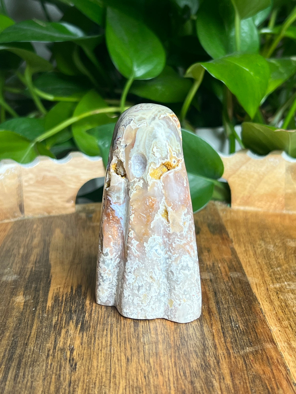 Sumatra Plume Agate Ghost: Z