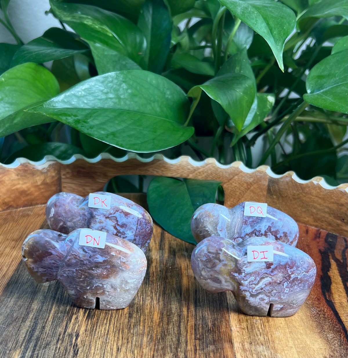 Sumatra Plume Agate Mini Buffalos