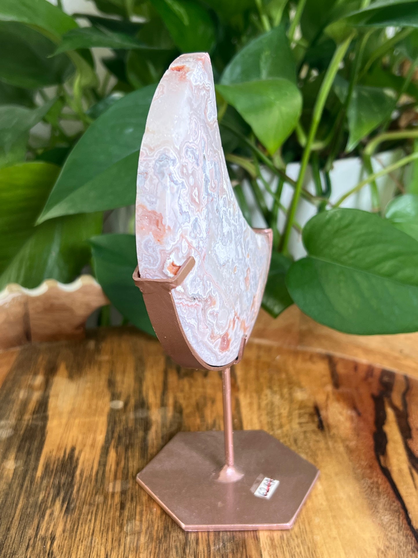 Pink Crazy Lace Agate Moon: QR