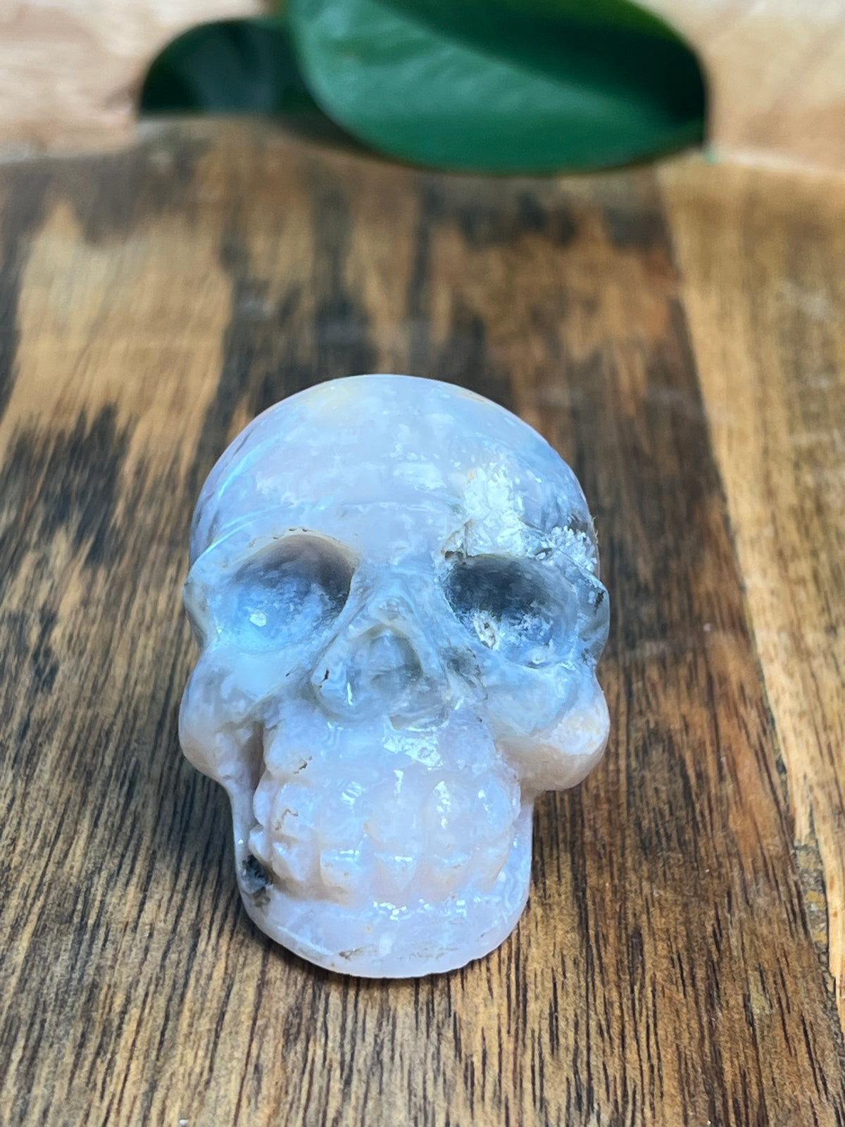 Rainbow Plume Agate Mini Skull: DL