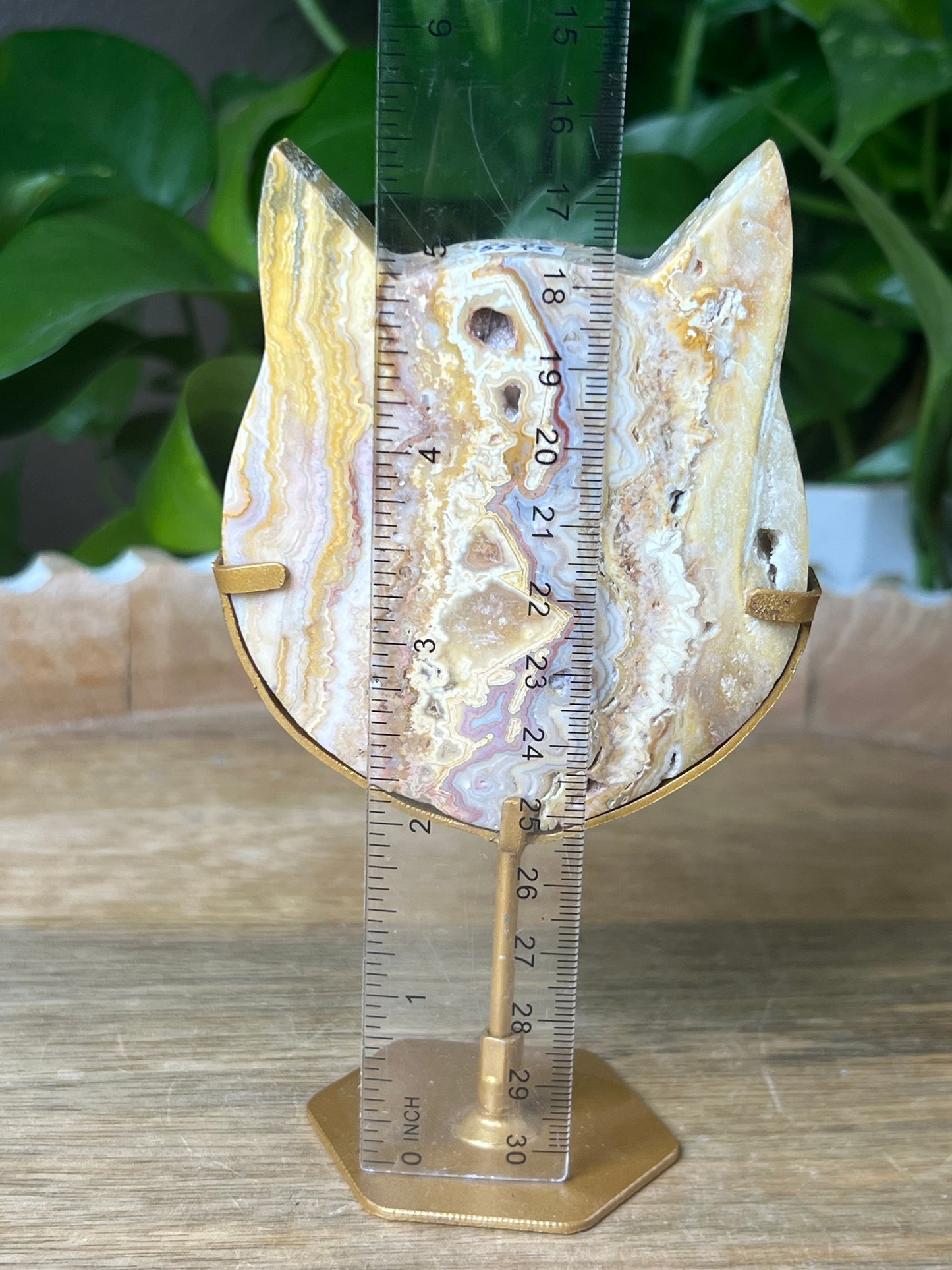 Crazy Lace Agate Cat