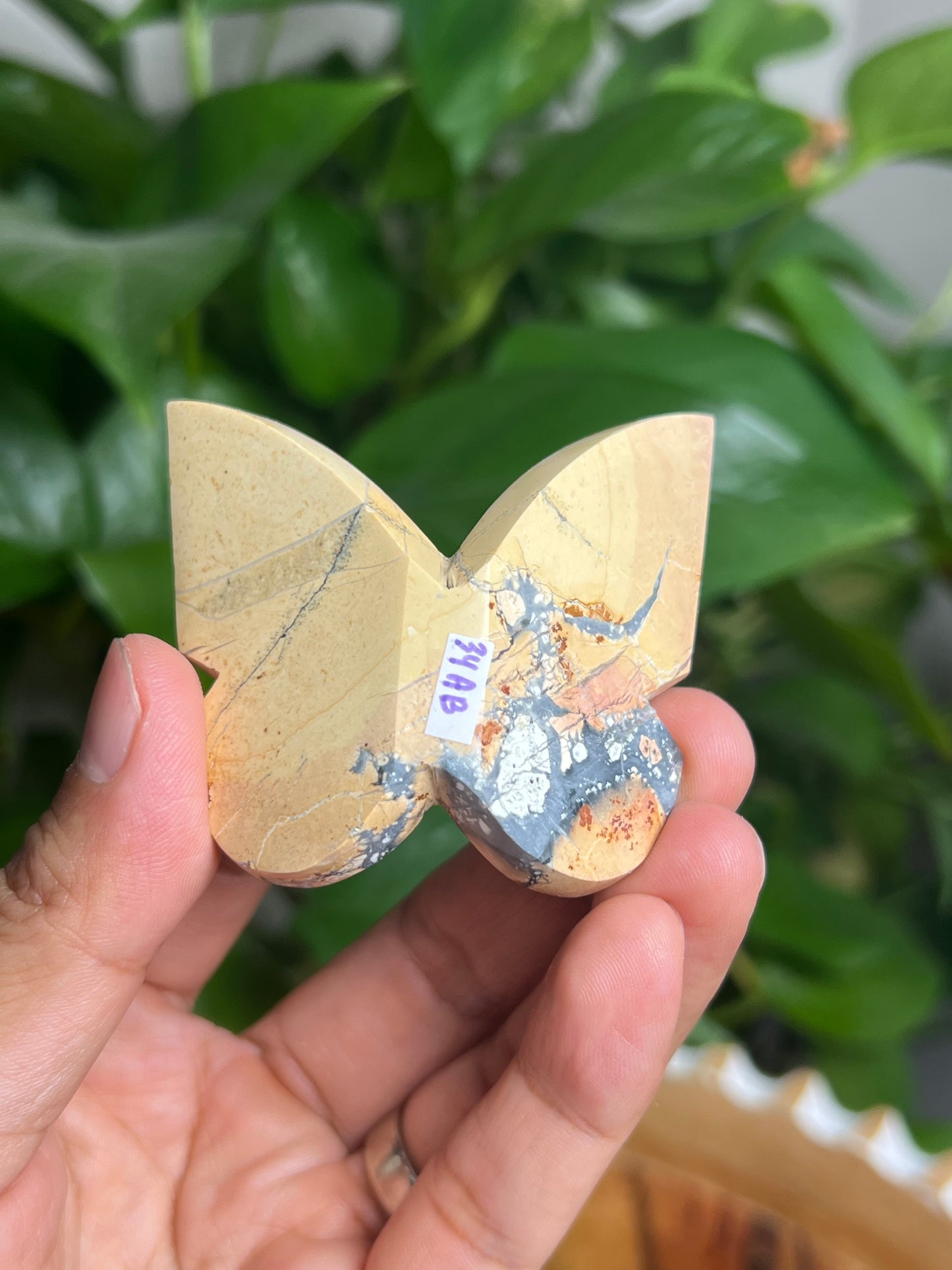 Maligano 3D Butterfly: AB