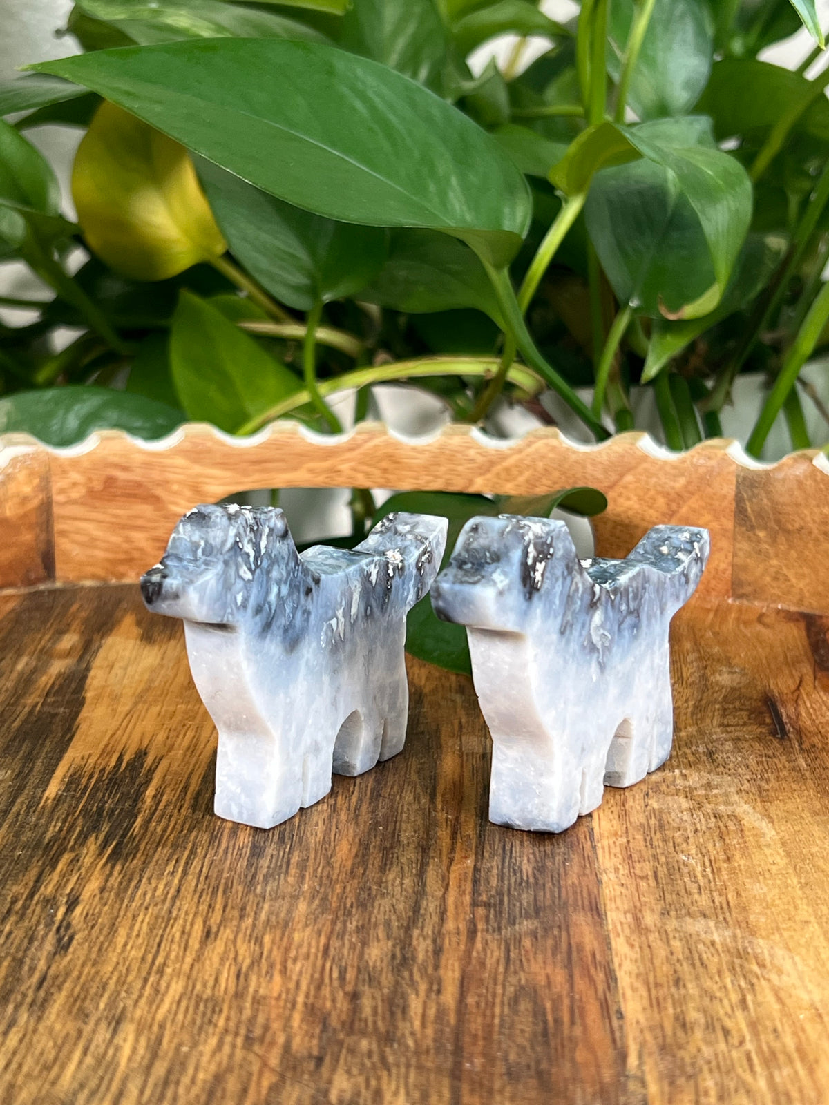 Blue Plume Agate Dogs