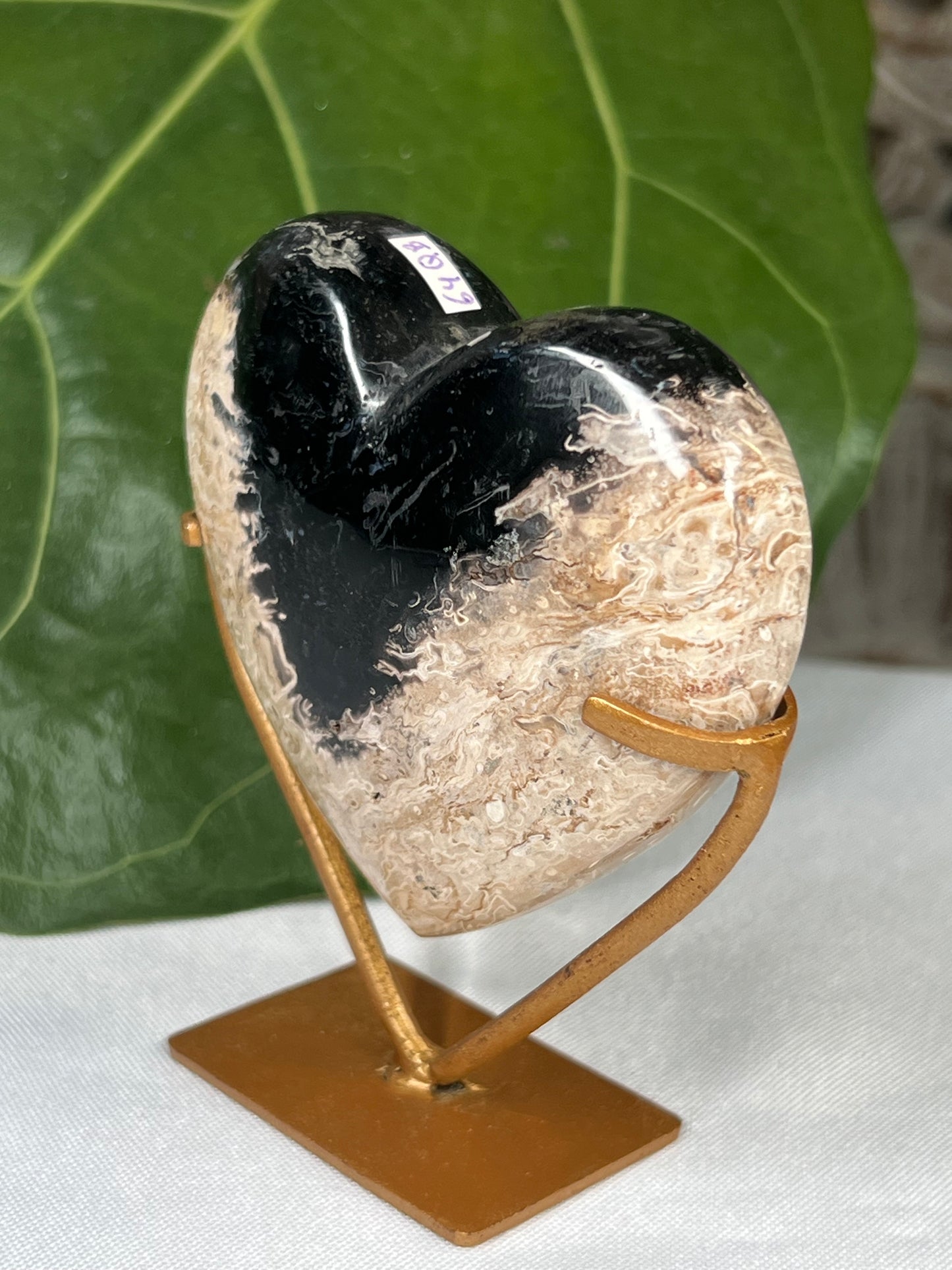 Palm Root Heart