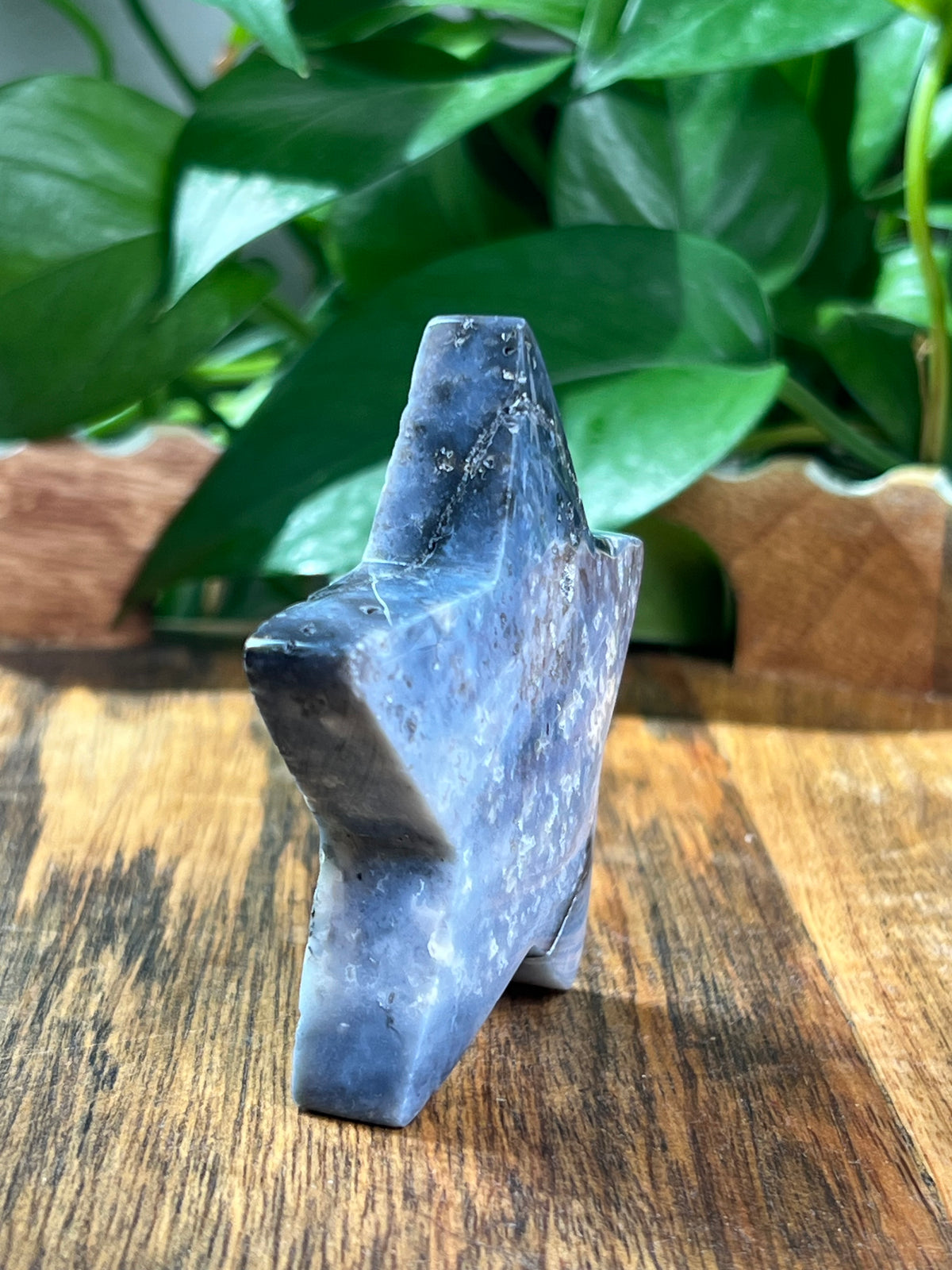 Blue Plume Agate Star: BB