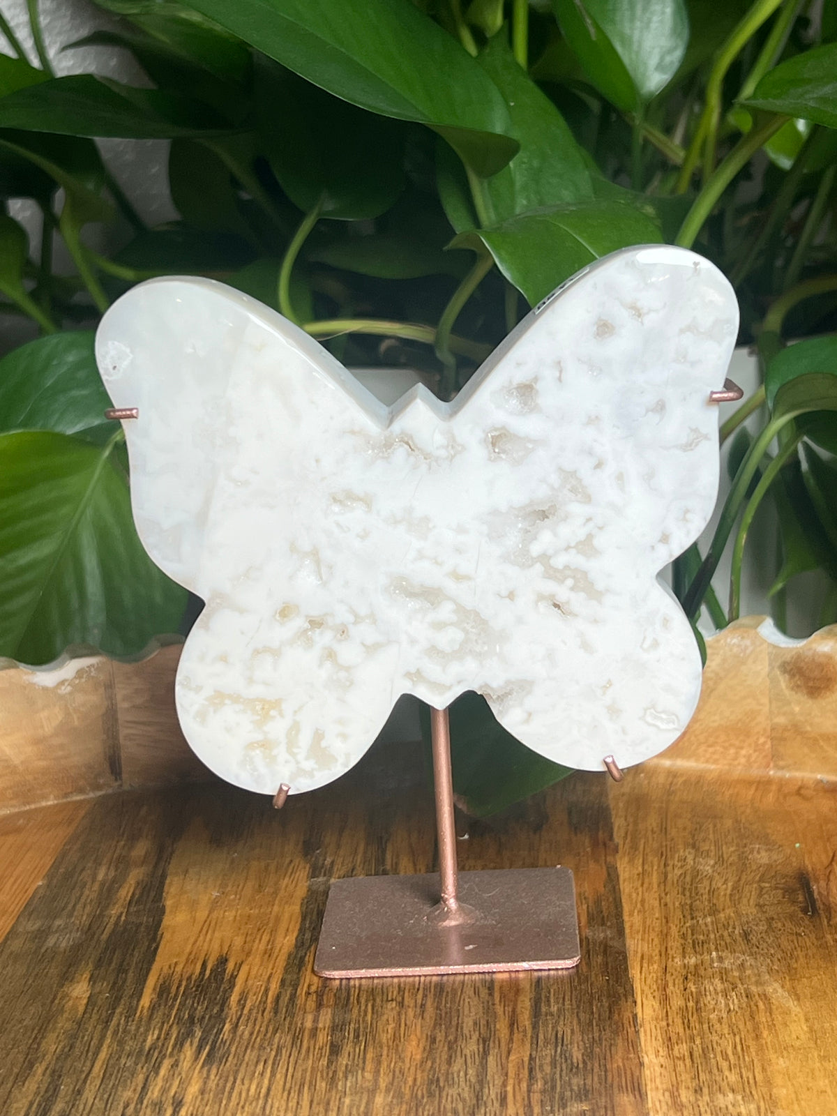 White Plume Agate Butterfly: PL