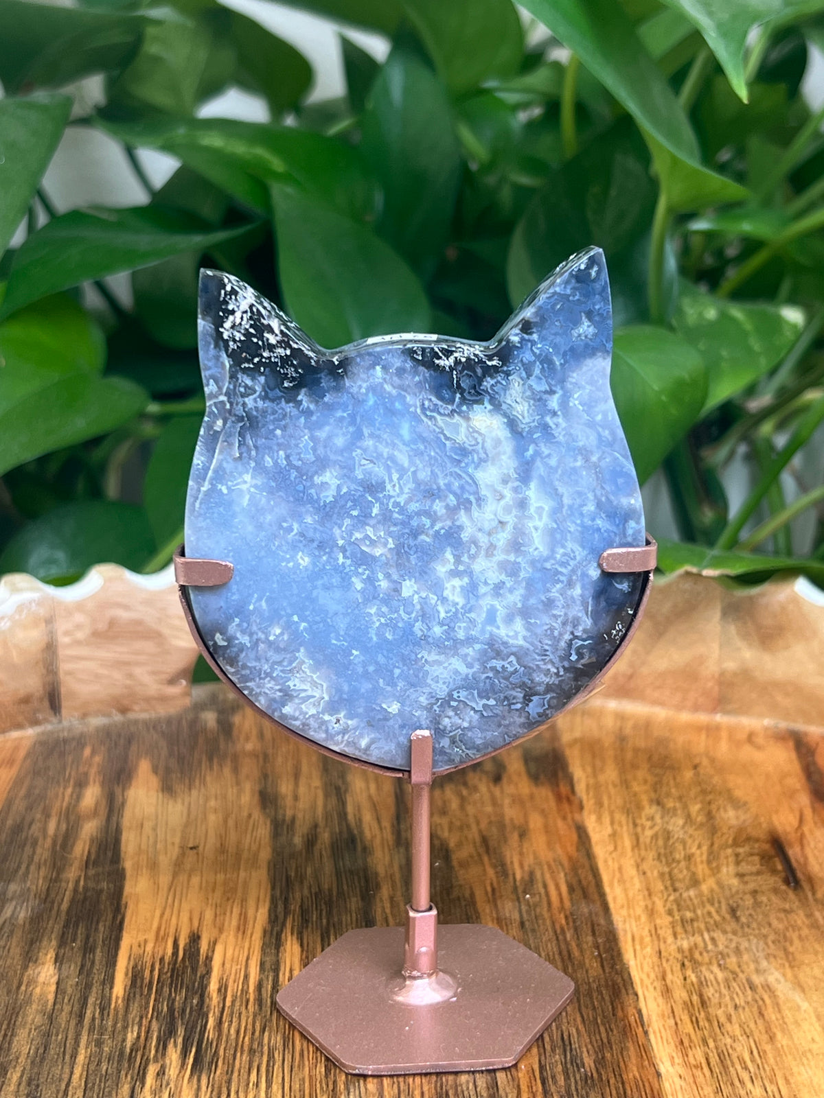 Blue Plume Agate Cat Head: NK