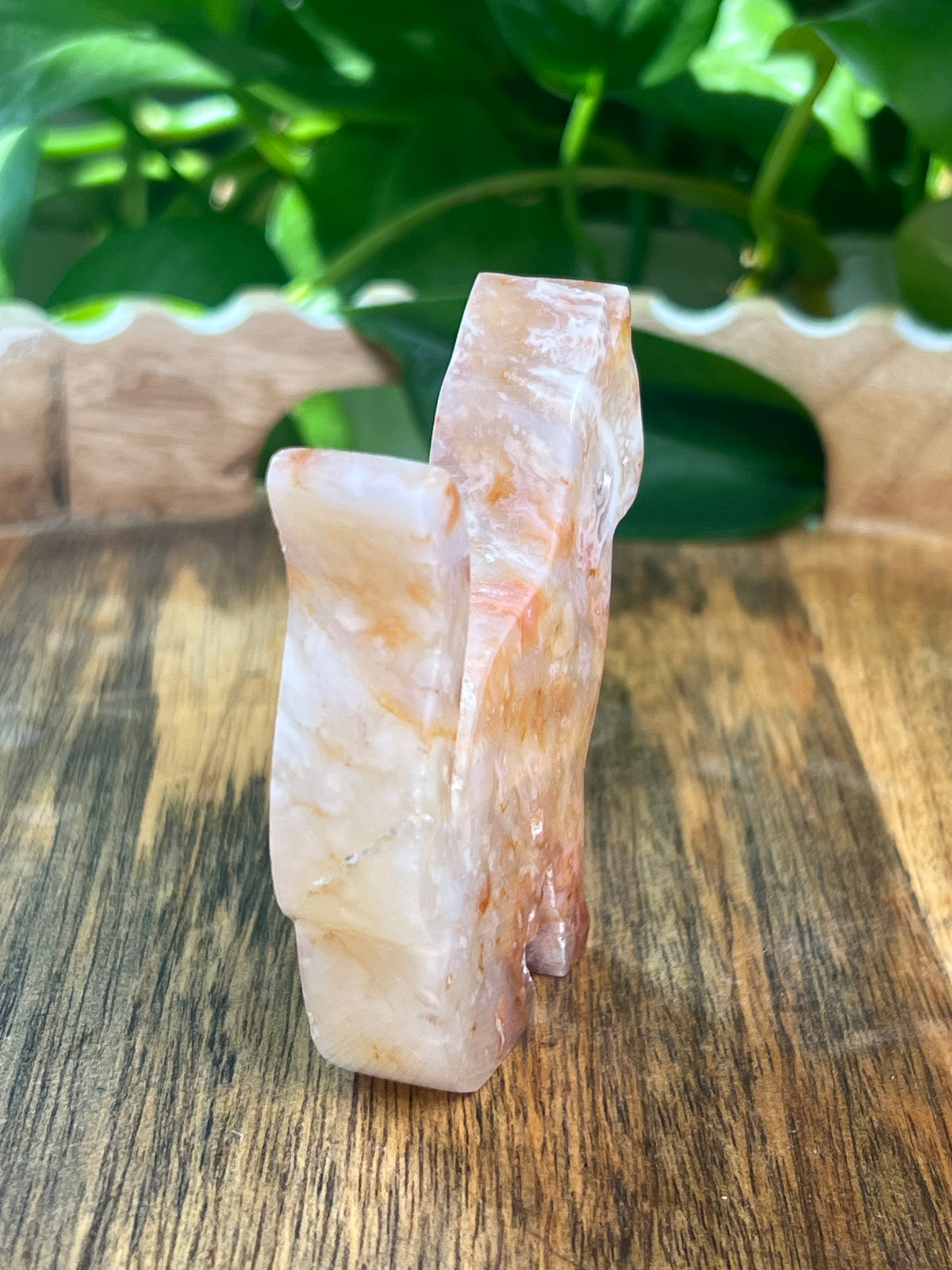 Carnelian Cat: PE