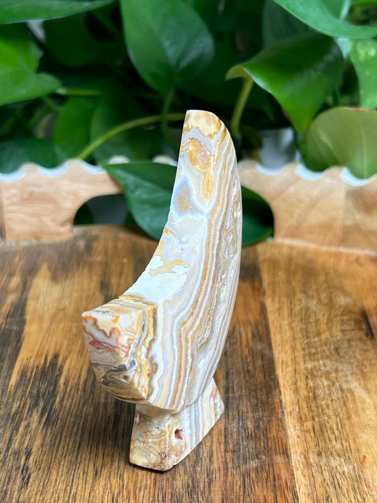 Crazy Lace Agate Self Standing Moon: BD