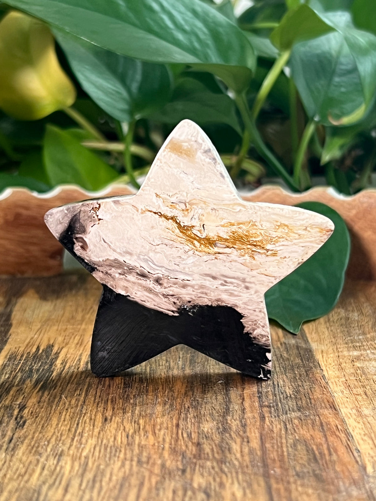 Palm Root Small Self Standing Stars