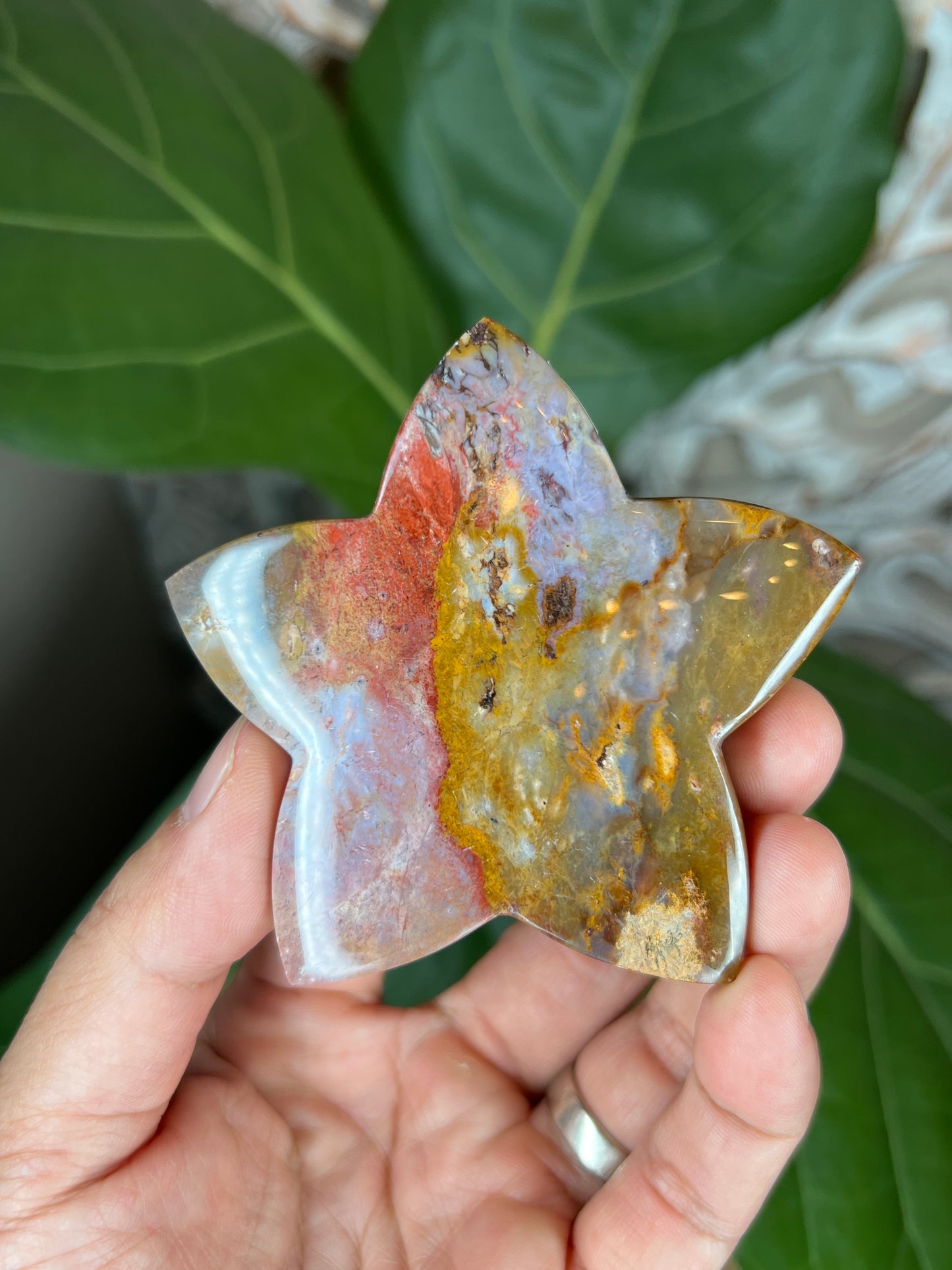 River Jasper Star