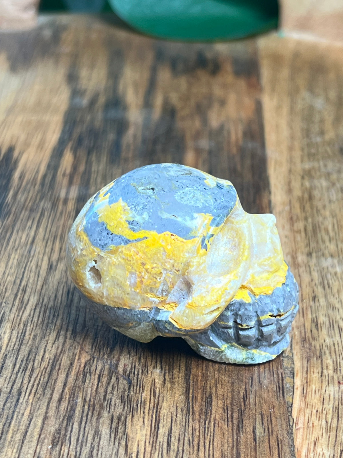 Bumblebee Jasper Mini Skull: E