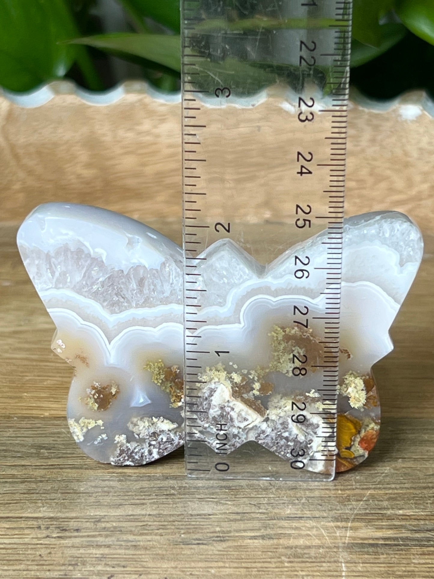 Scenic Moss Agate Butterfly
