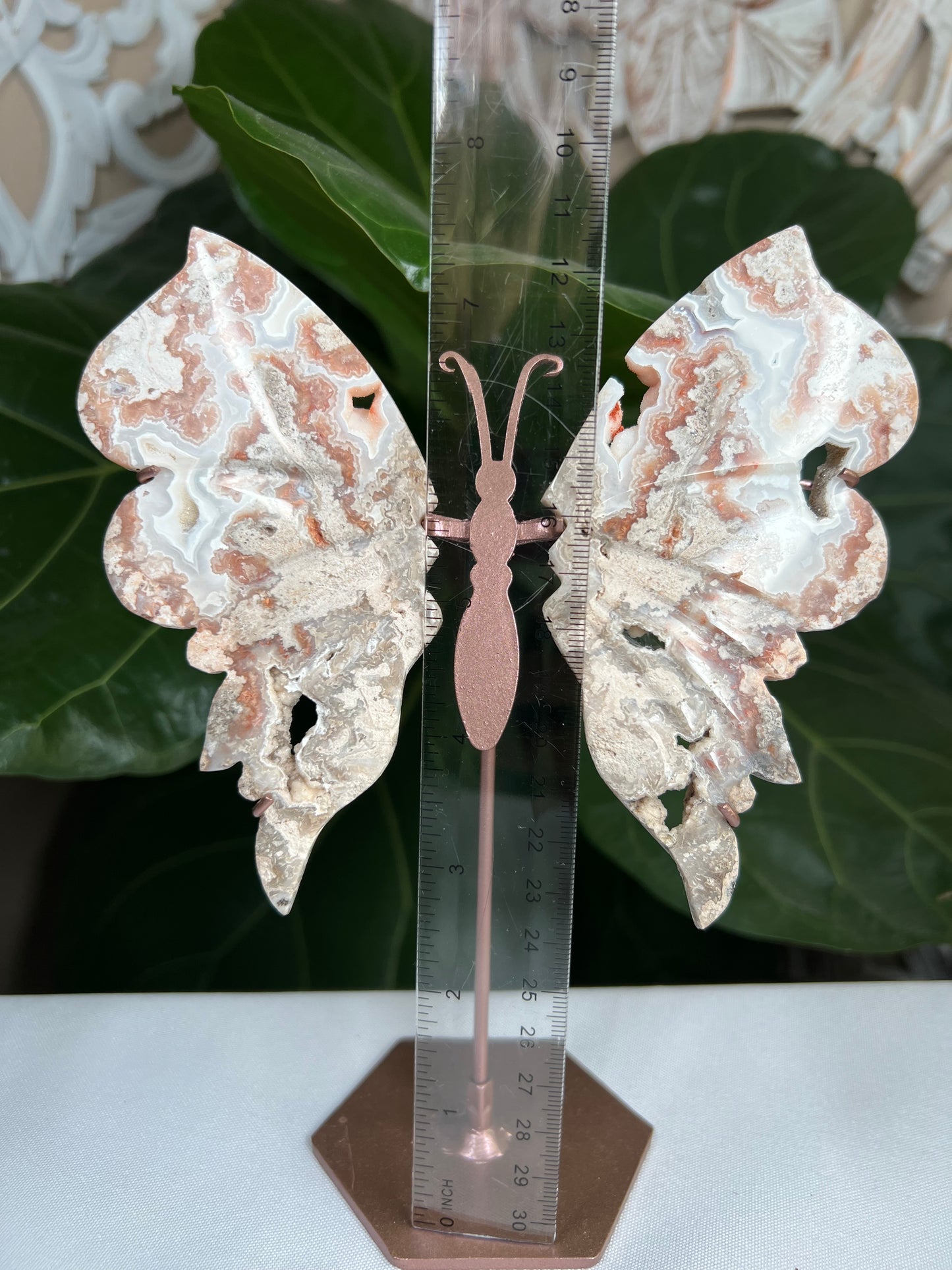 Crazy Lace Agate Wings